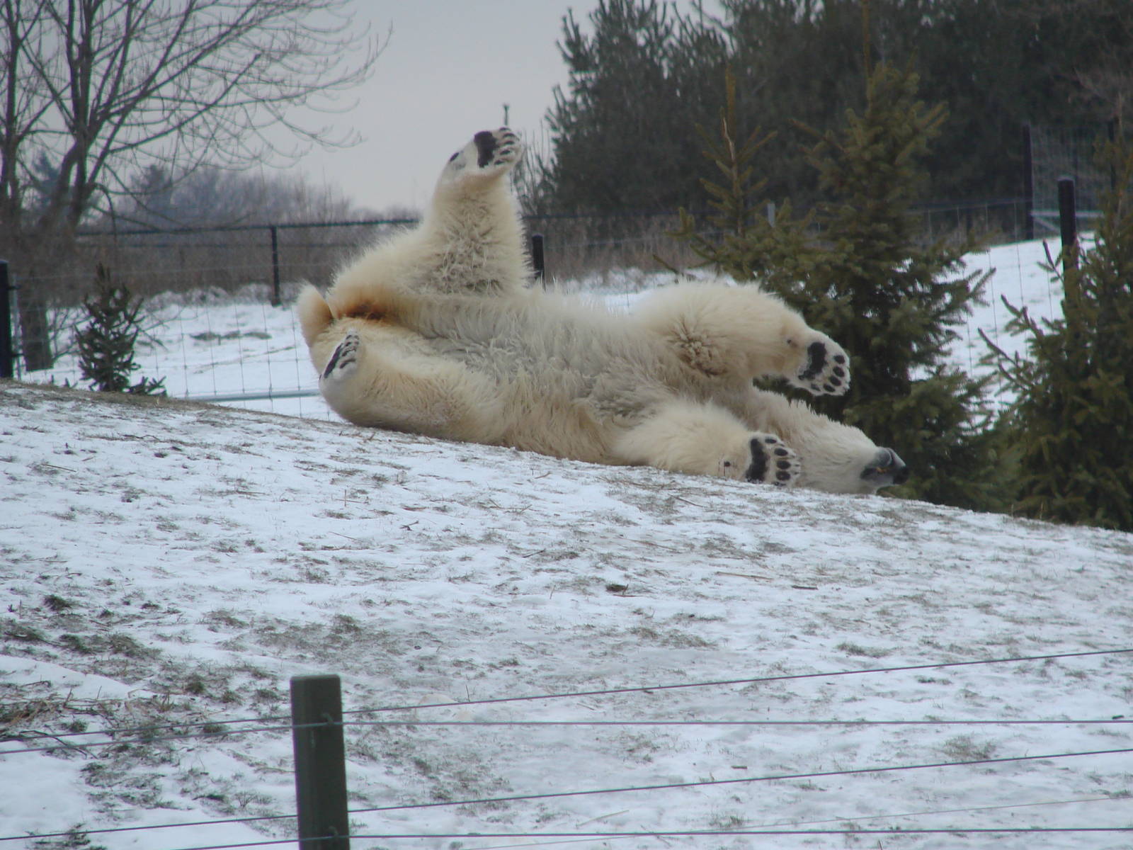 Toronto Zoo Visit - December 18th 2009