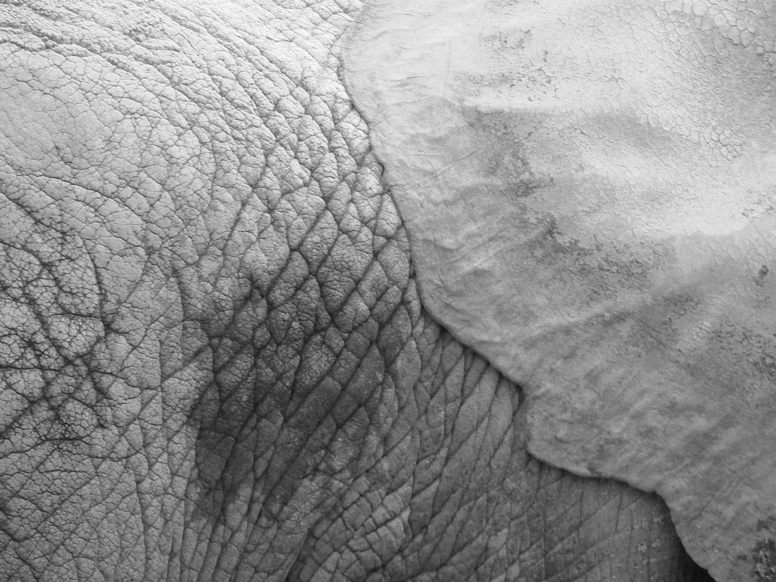 Toronto Zoo Visit - October 5th, 2009