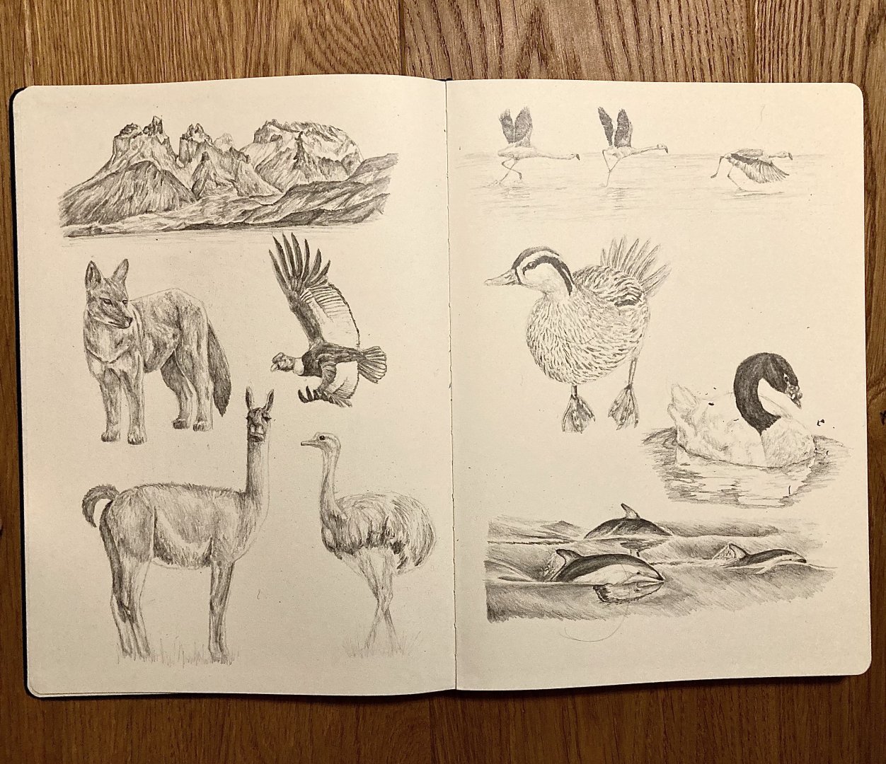 Torres del Paine - first two pages