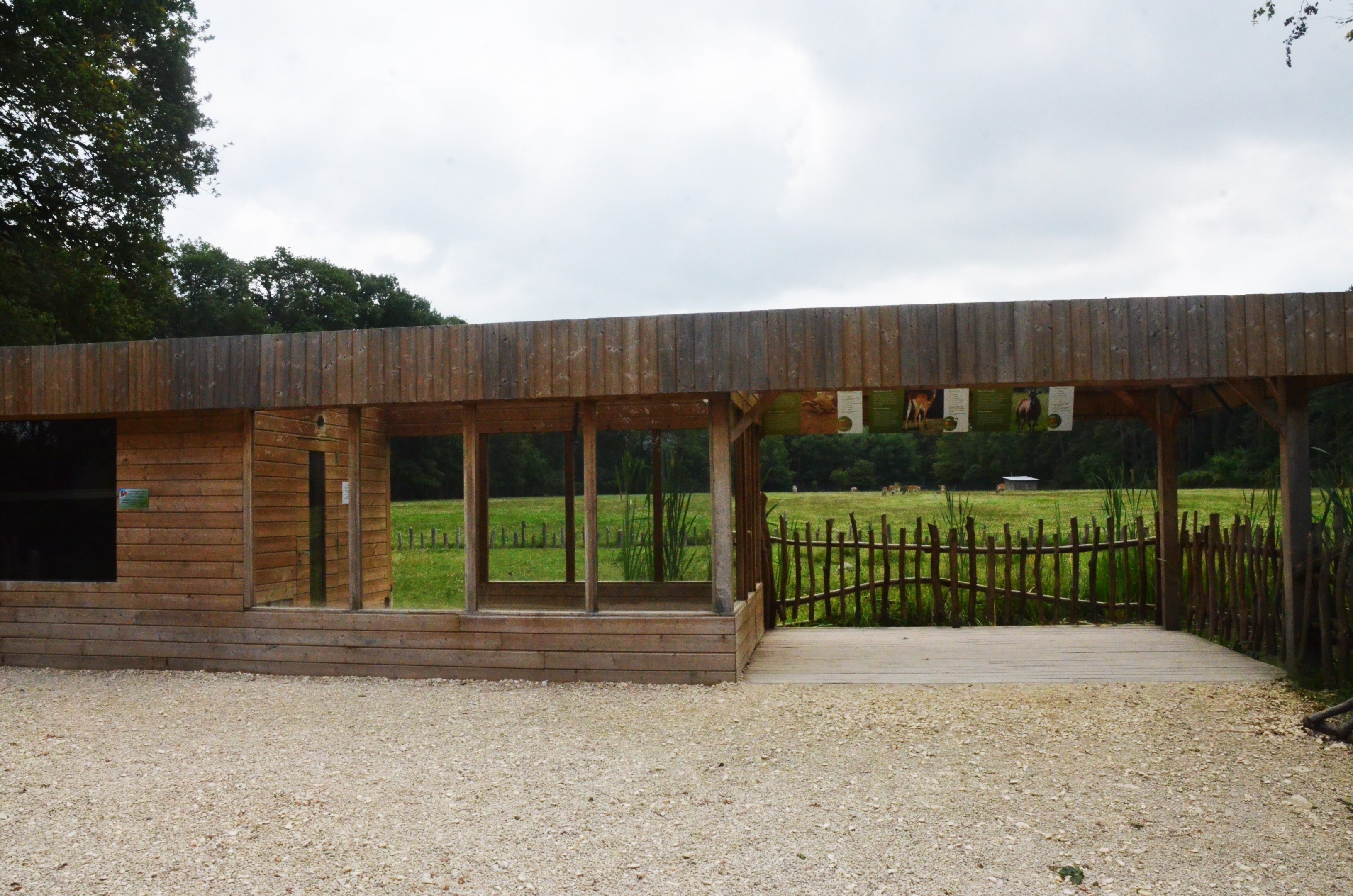 Tortoise and Antelope Viewing at Haute-Touche, 14/06/18