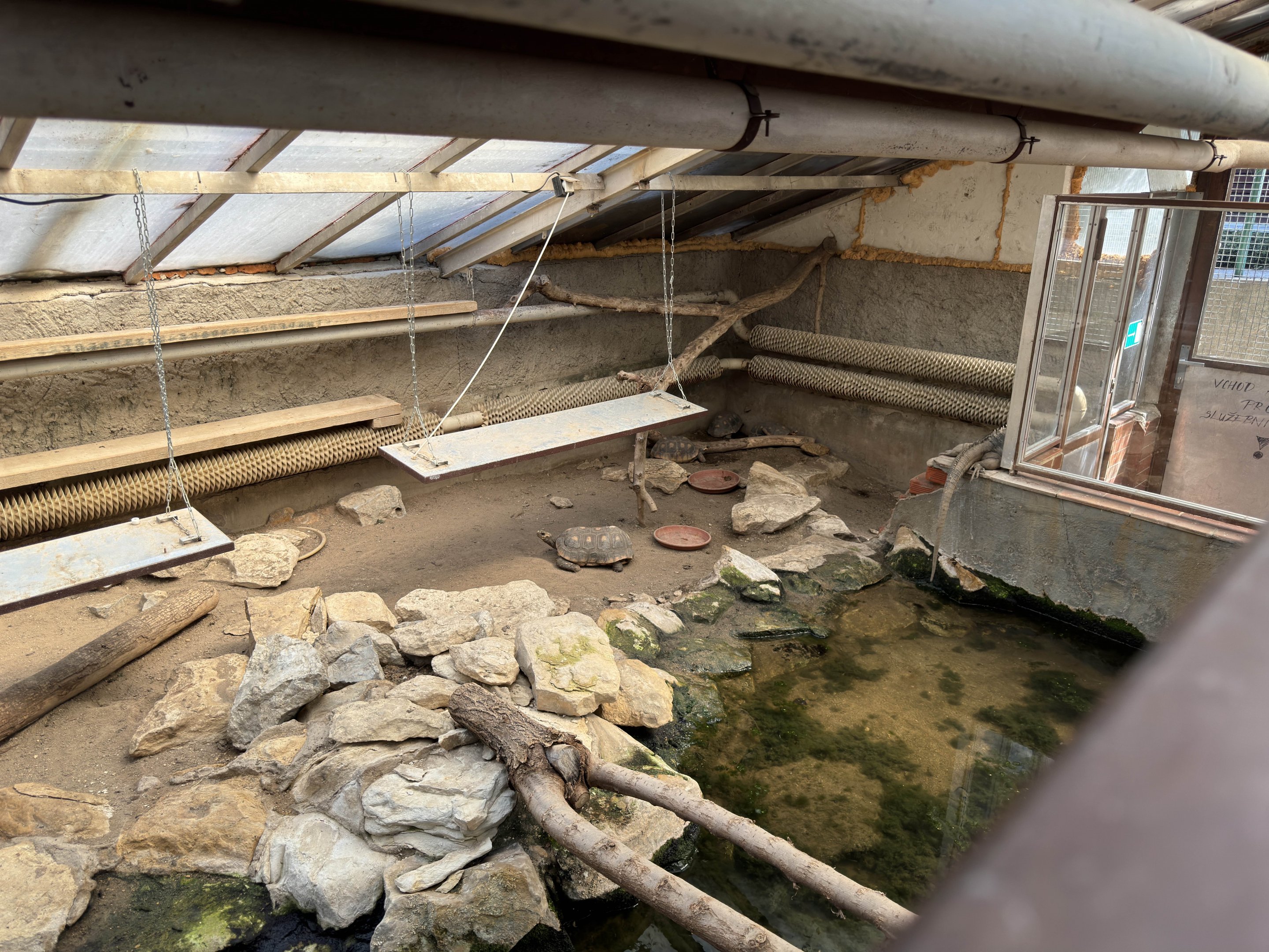 Tortoise and iguana enclosure - Stanice přírodovědců (Prague/Praha)