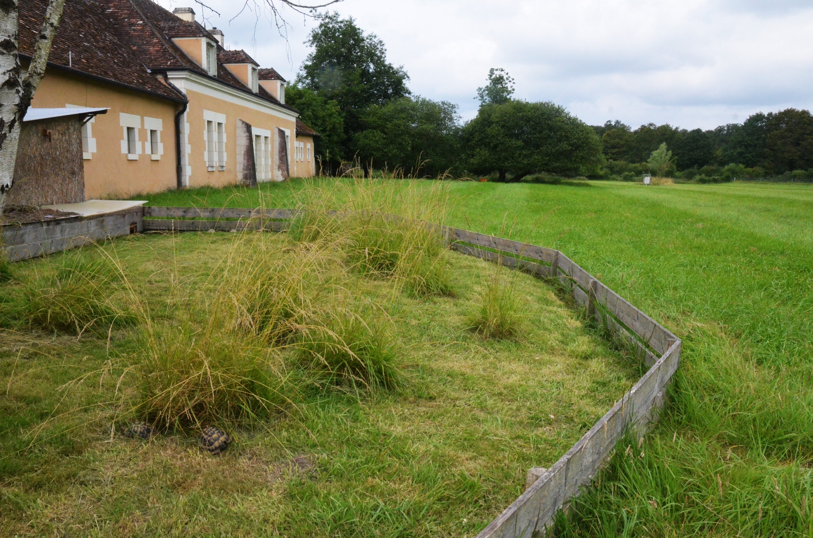 Tortoise and Indian Muntjac Enclosures at Haute-Touche, 14/06/18