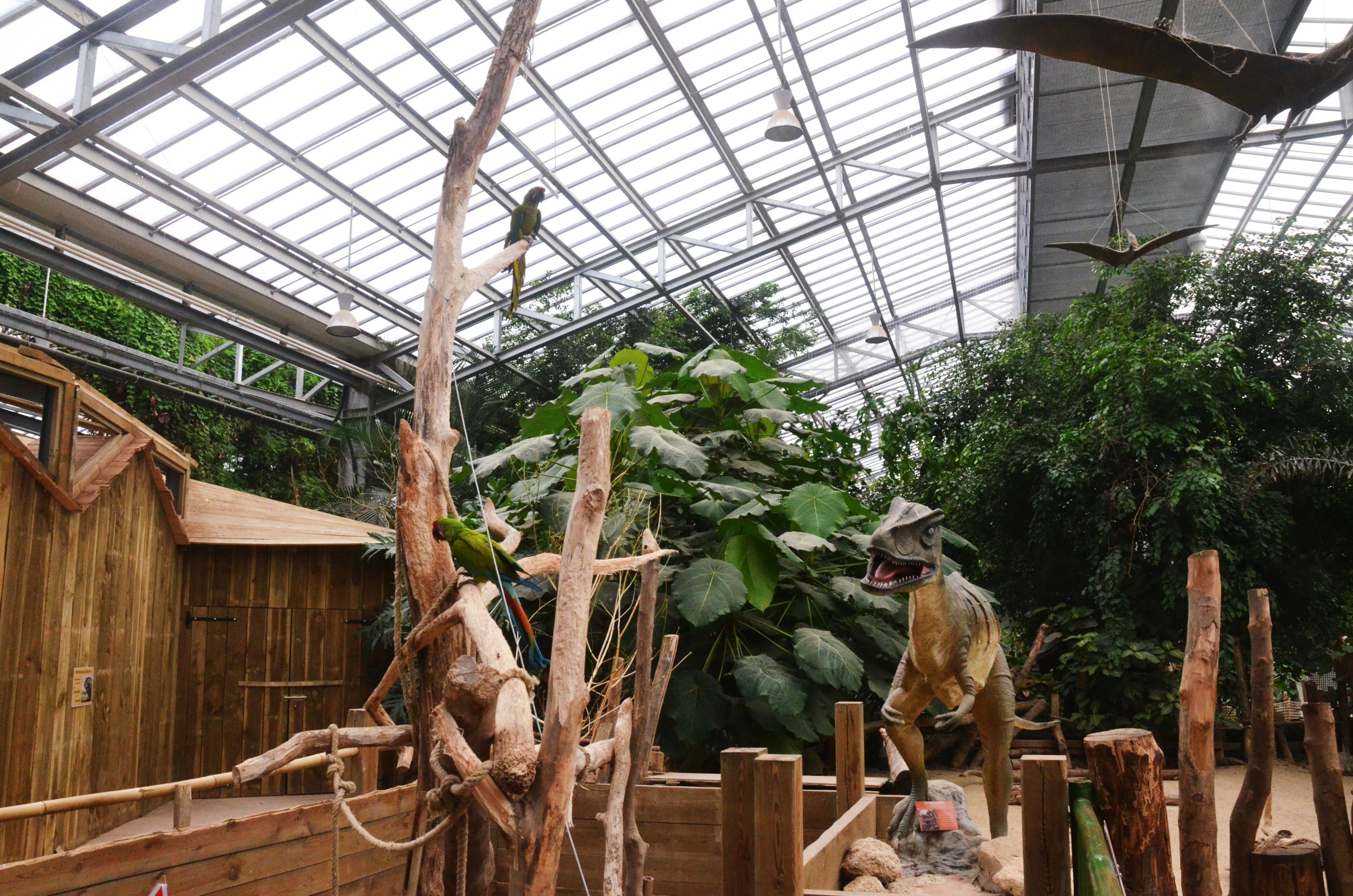 Tortoise and Macaw Enclosures at Biotropica, 16/06/18