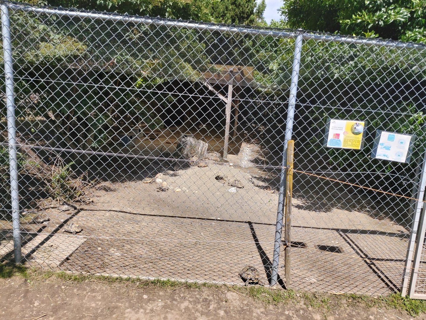 Tortoise and rabbit enclosure