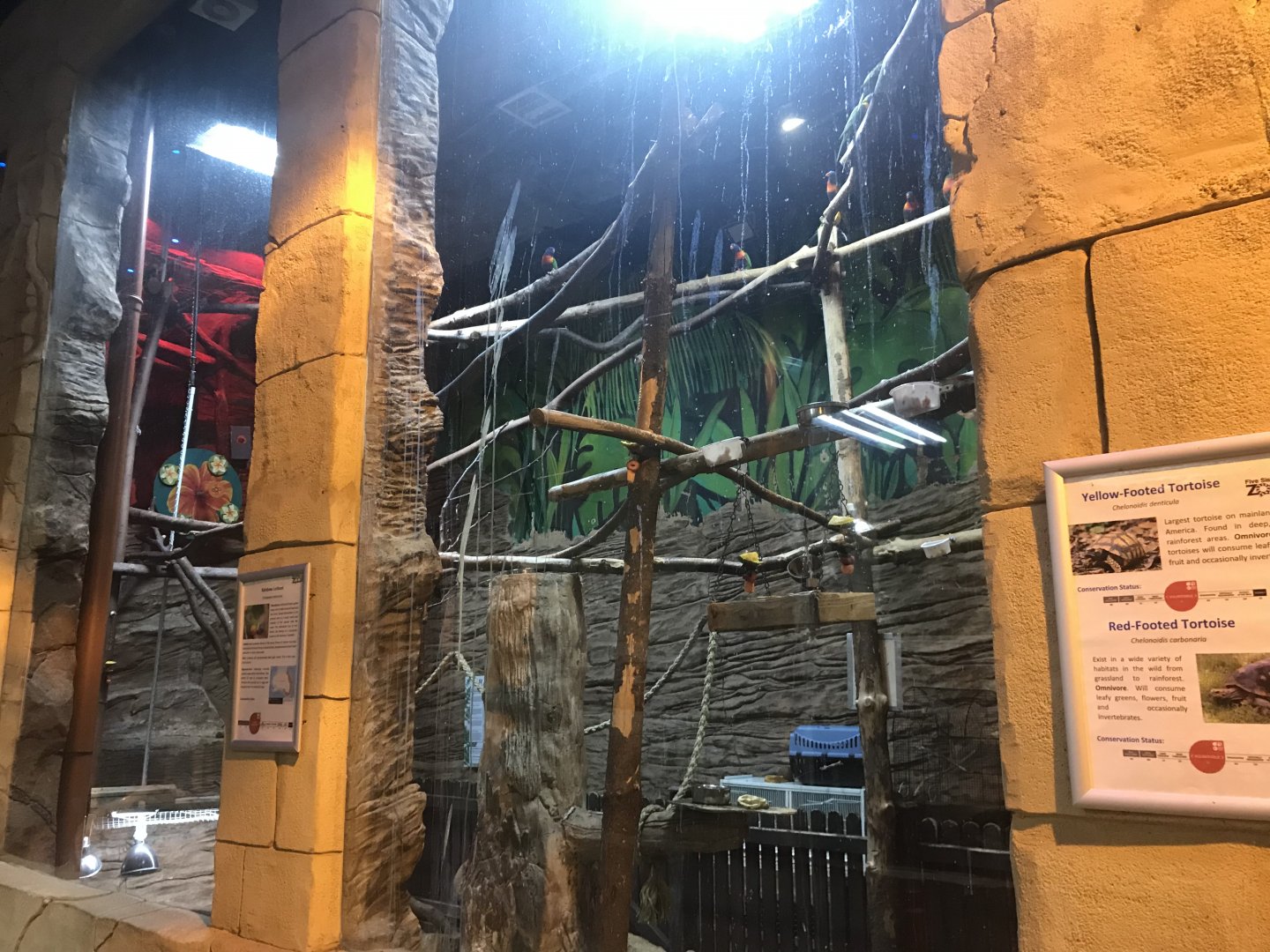 Tortoise and rainbow lorikeet enclosure