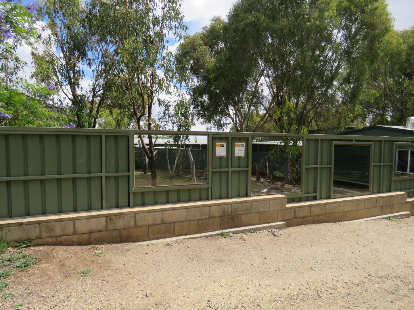 Tortoise and Rhinoceros Iguana Exhibit