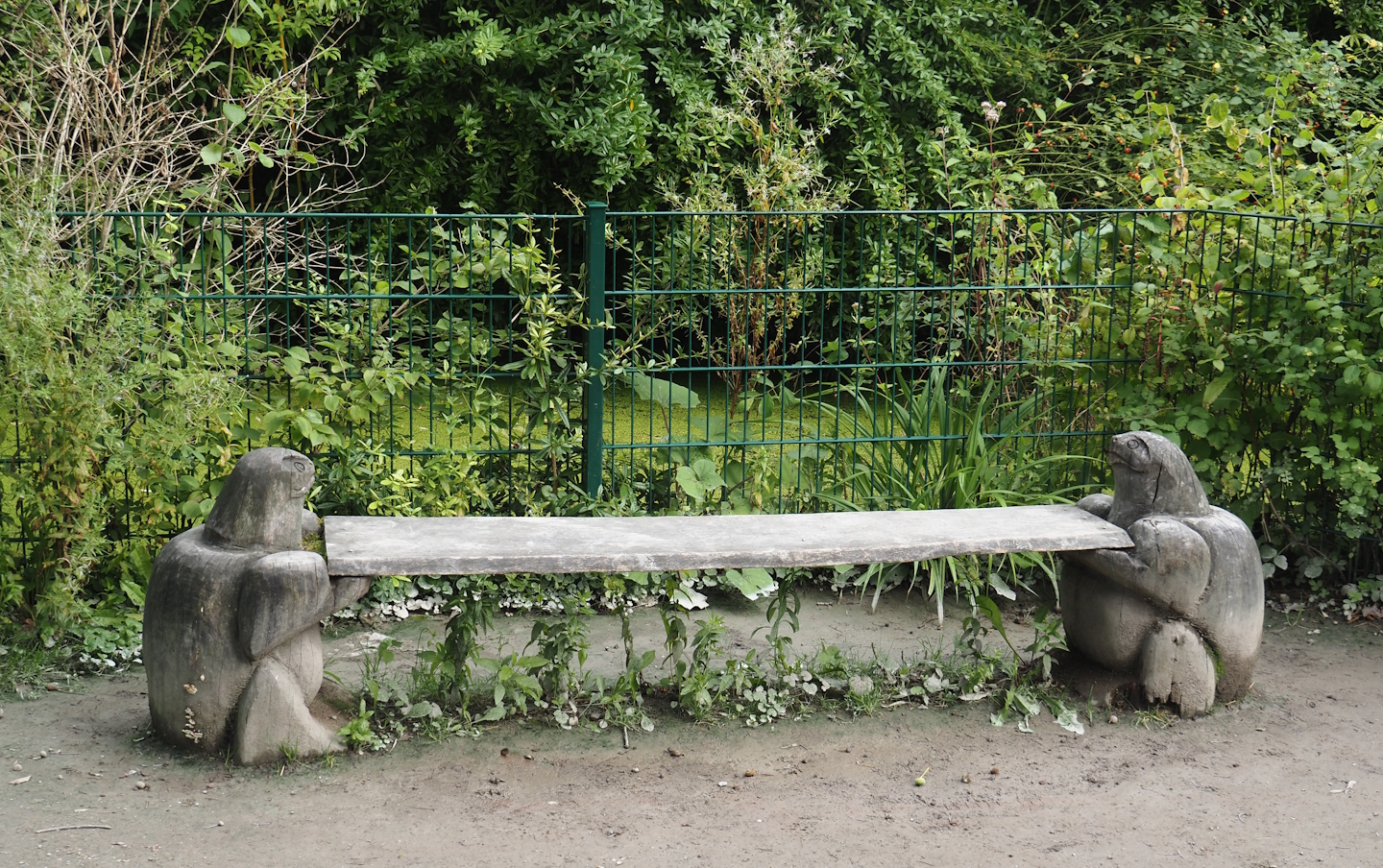 Tortoise bench, 2024-08-05