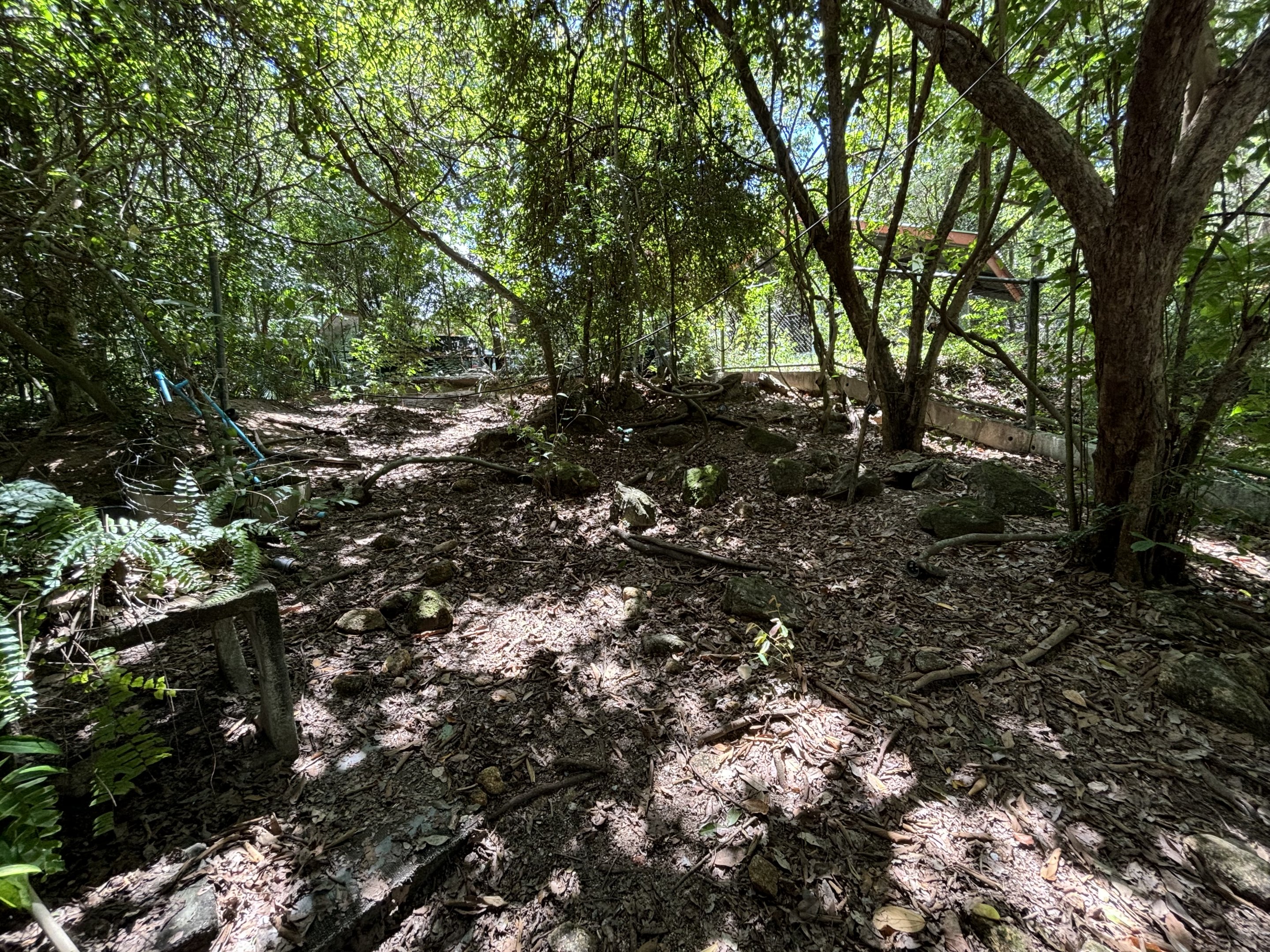 Tortoise Breeding Center (off-show)