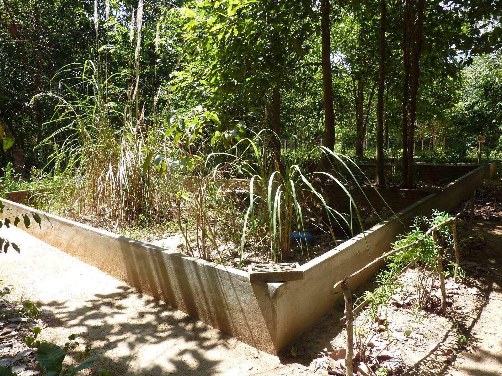 Tortoise breeding enclosures, May 2013