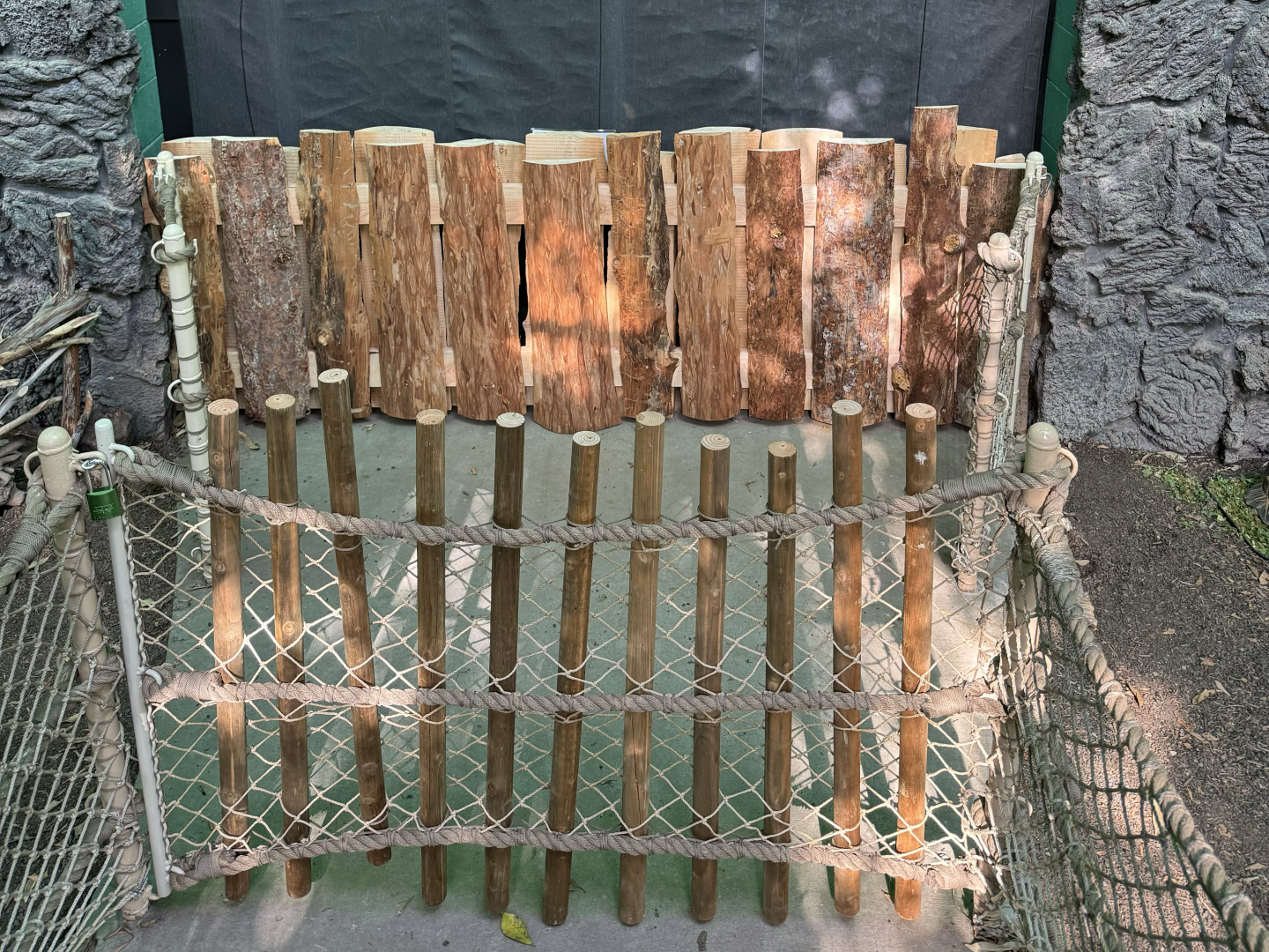 Tortoise "Bridge" in Rainforest Atrium