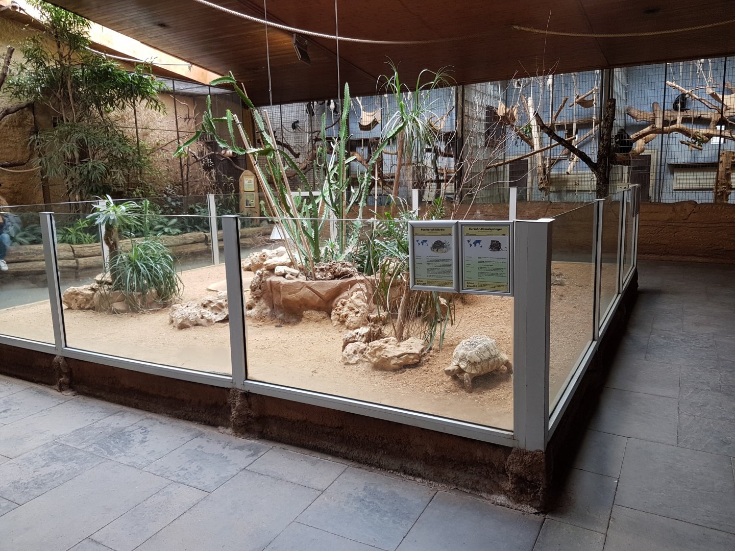Tortoise - Elephant-shrew enclosure