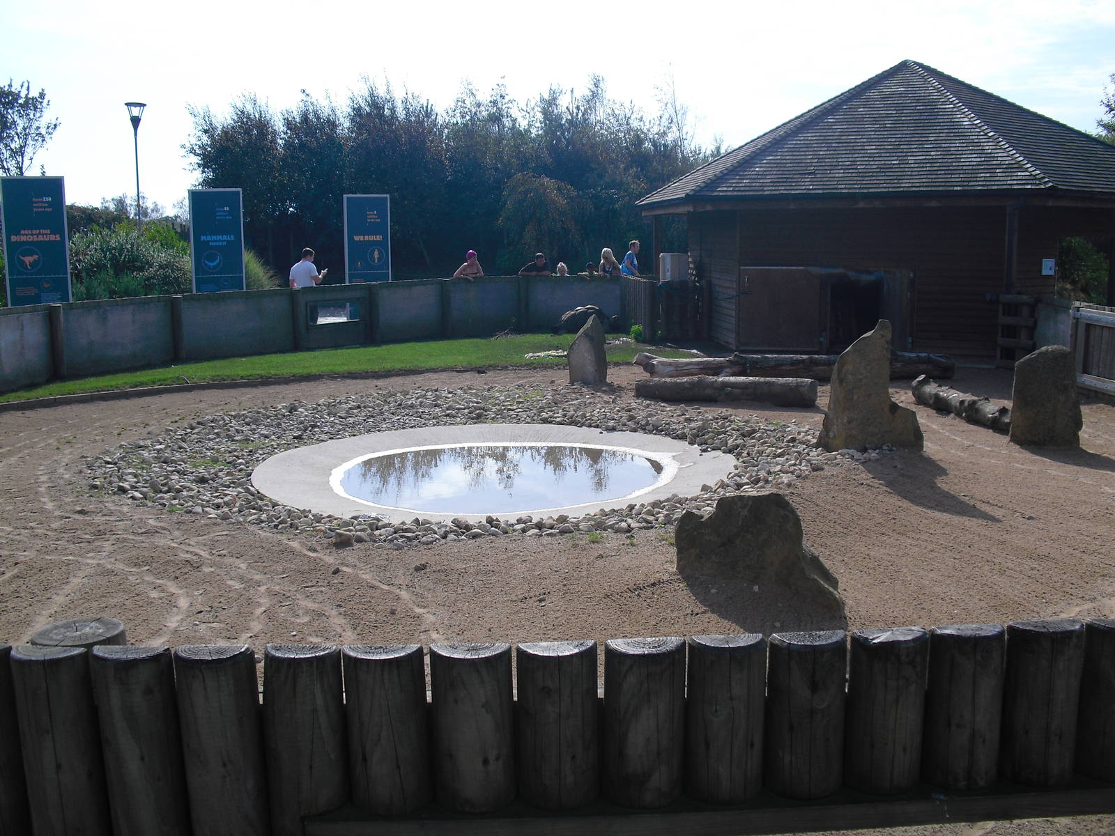 Tortoise Enclosure - 01/10/2011