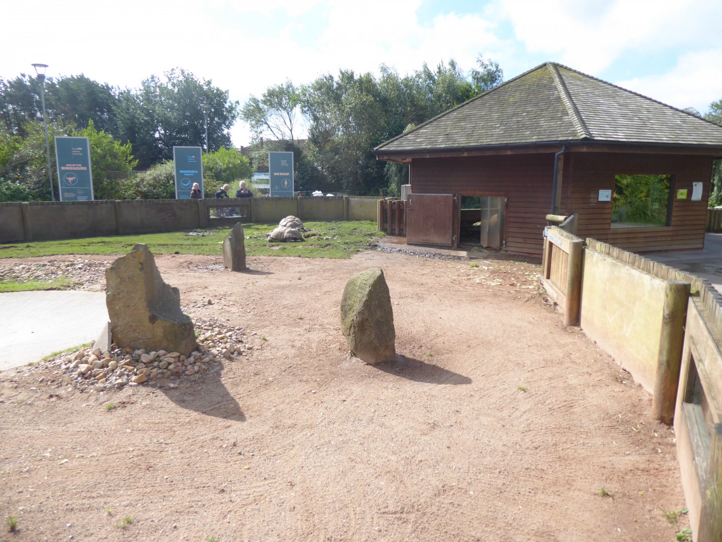 Tortoise enclosure 040817
