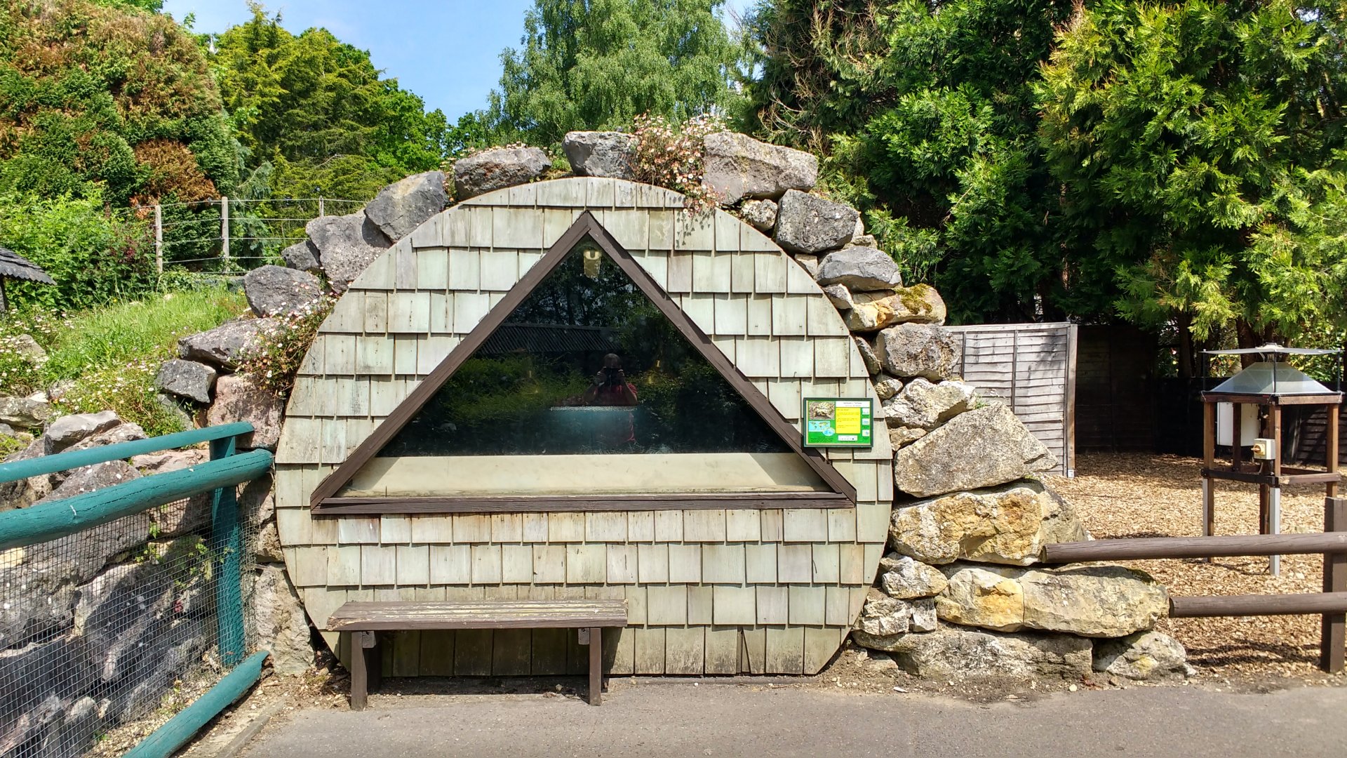 Tortoise enclosure 2017.