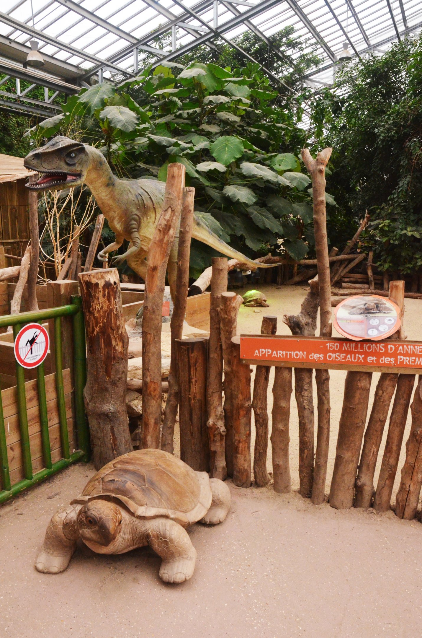 Tortoise Enclosure at Biotropica, 16/06/18