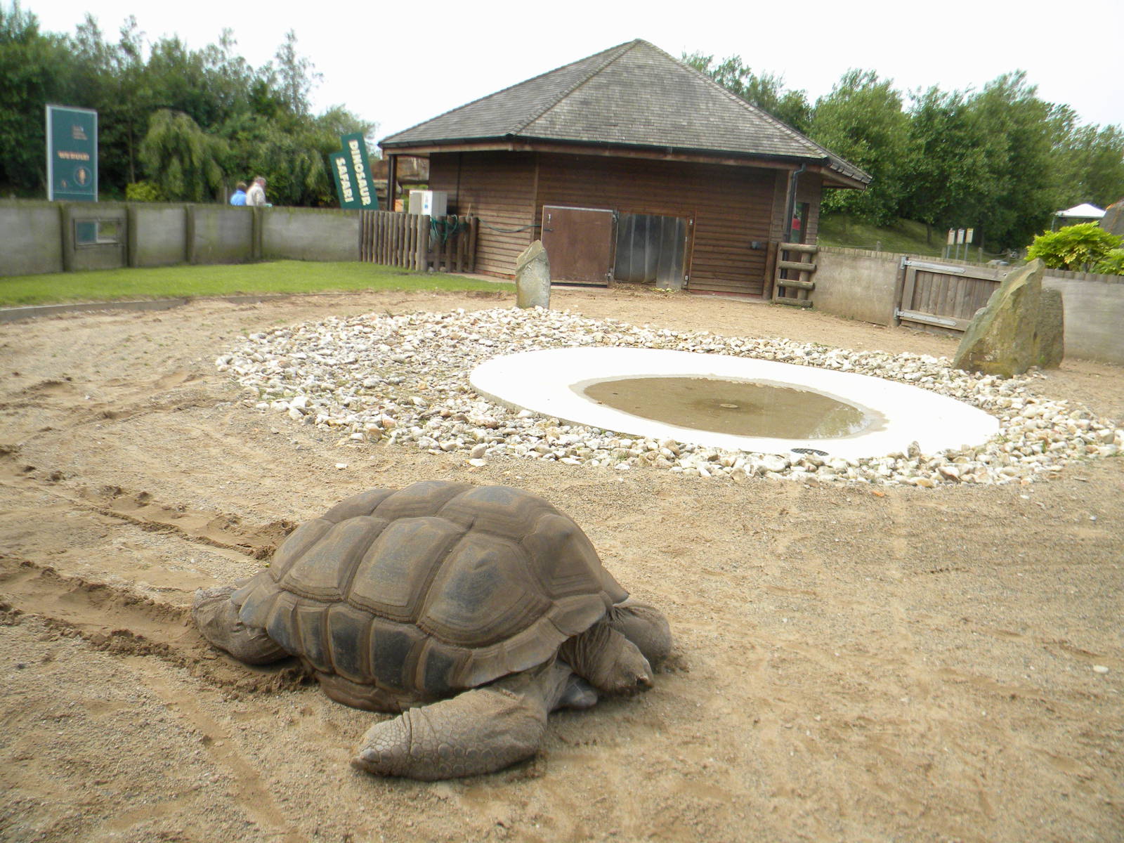 Tortoise enclosure at Blackpool Zoo 12/09/11