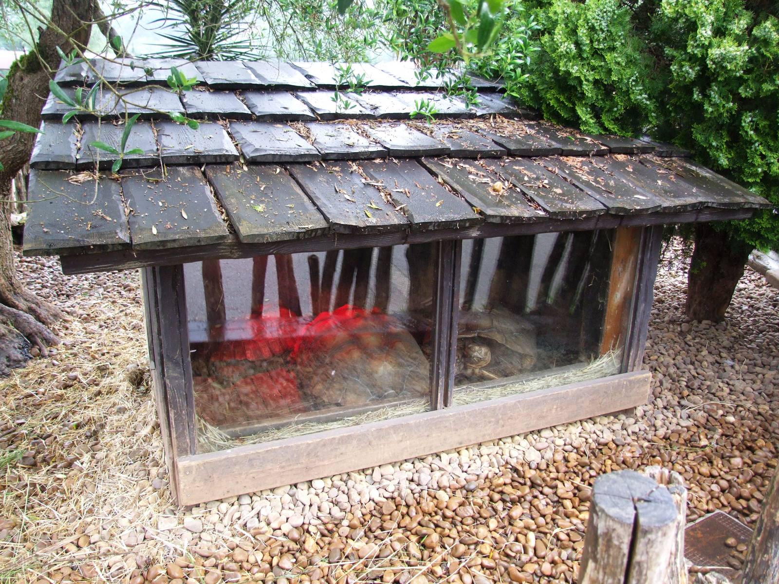 Tortoise Enclosure at Cabarceno, 11/06/15