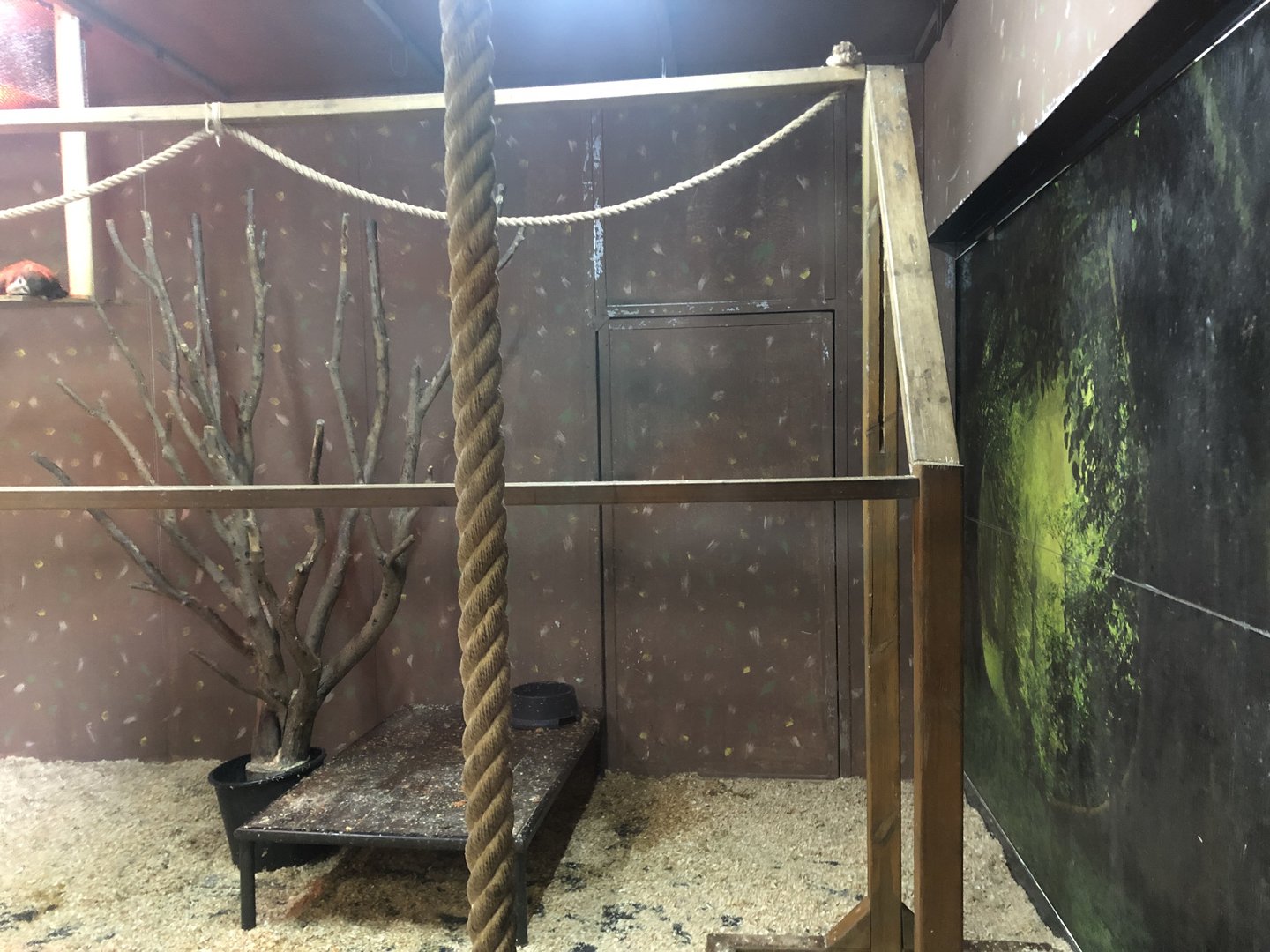 Tortoise Enclosure at ViaSea Aquarium