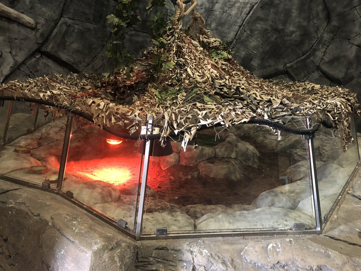 Tortoise enclosure at ViaSea Aquarium