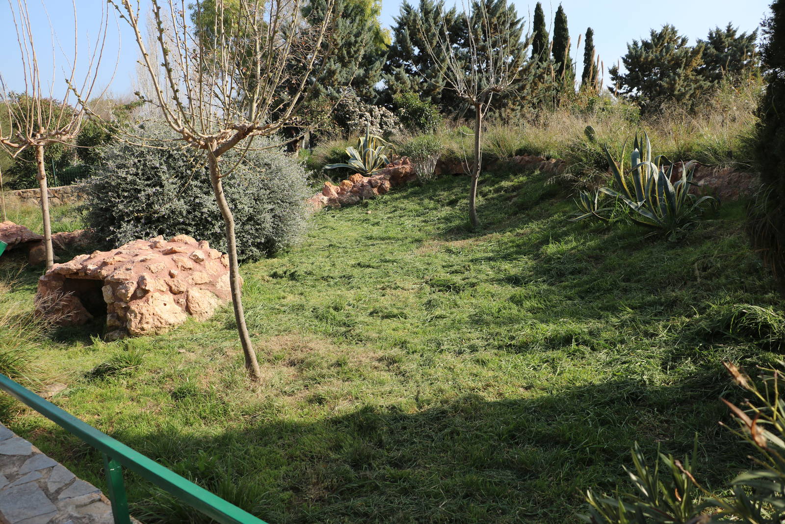 Tortoise enclosure, February 2016