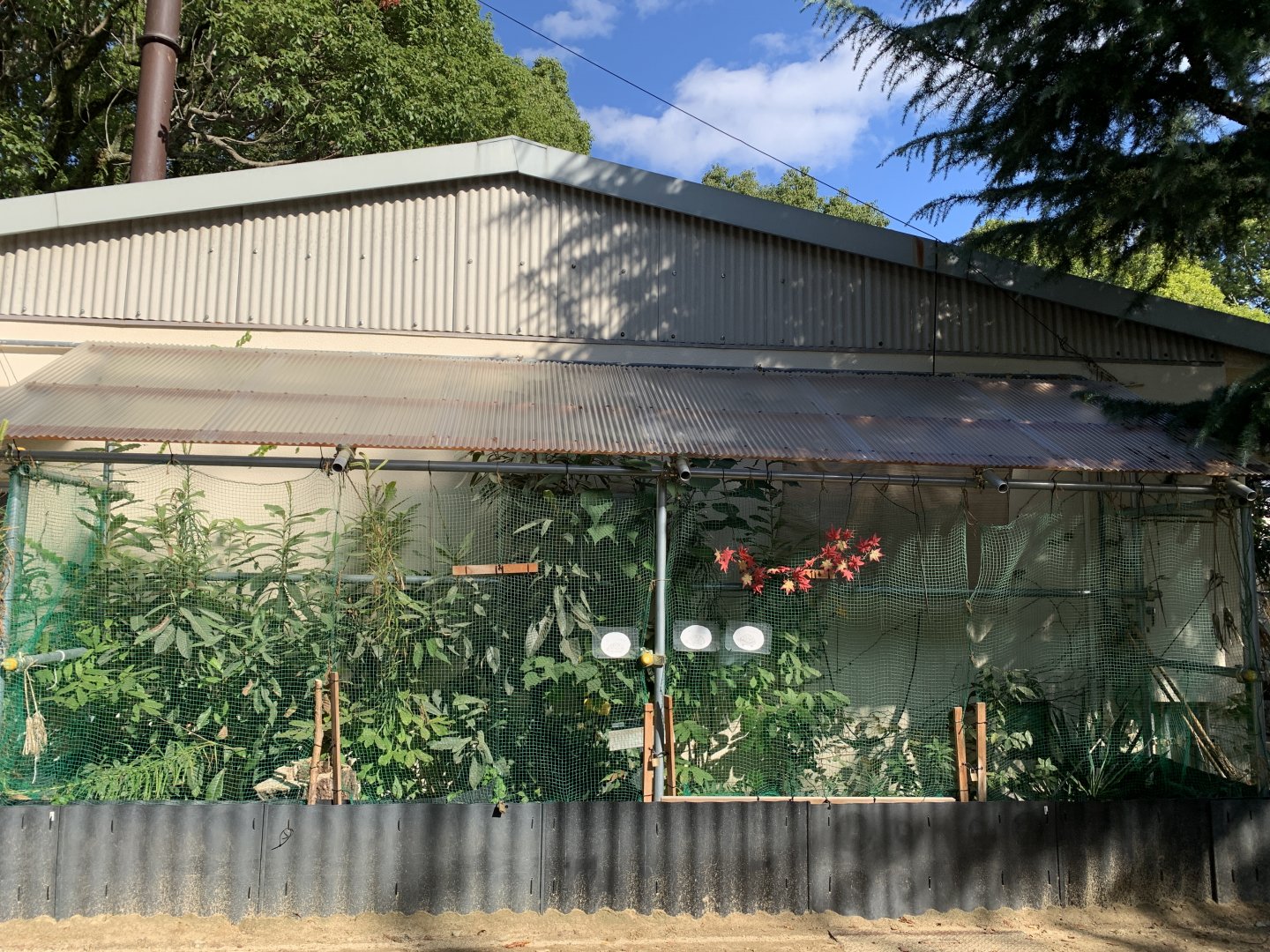 Tortoise Enclosure (Himeji City Zoo)