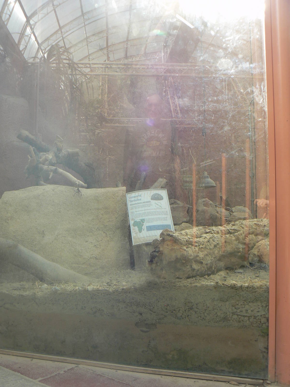 Tortoise Enclosure