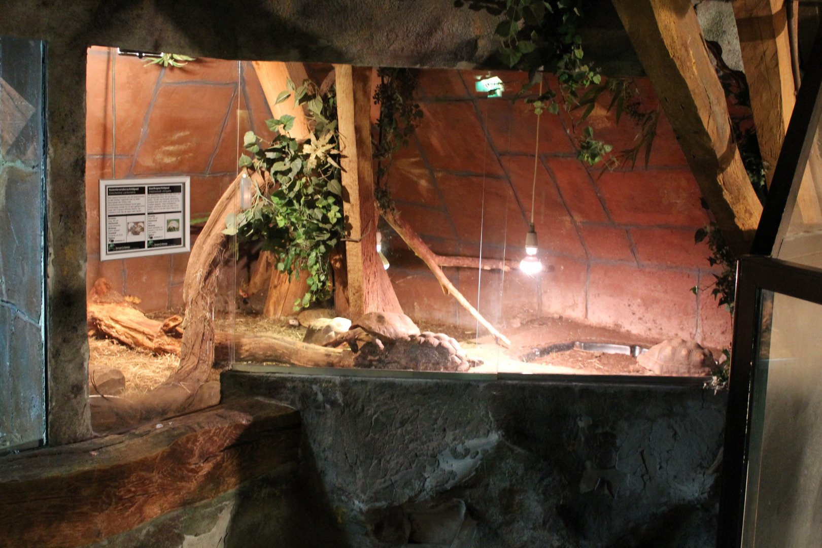 Tortoise enclosure