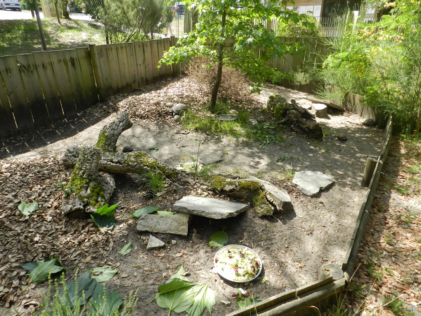Tortoise enclosure