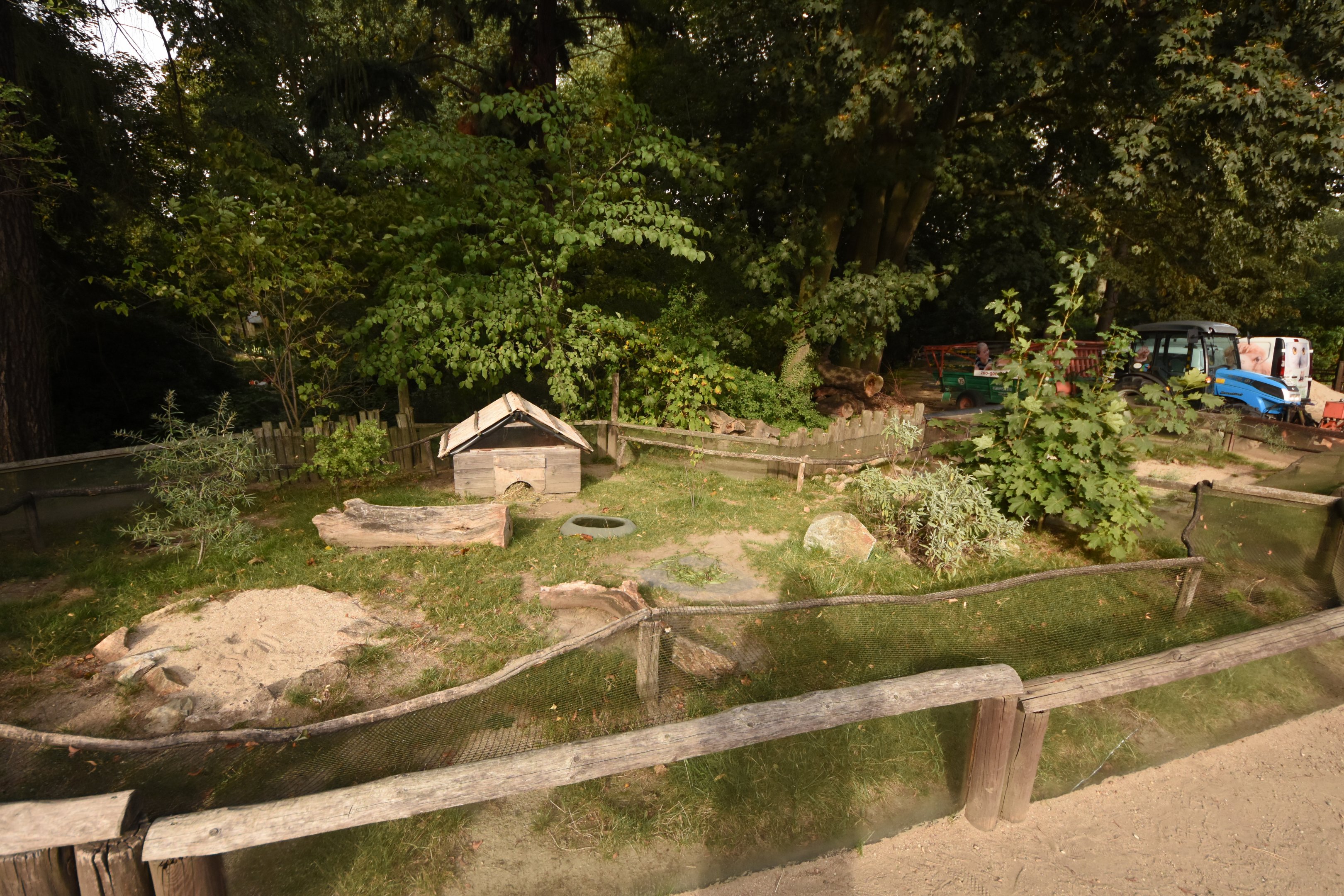 Tortoise enclosure