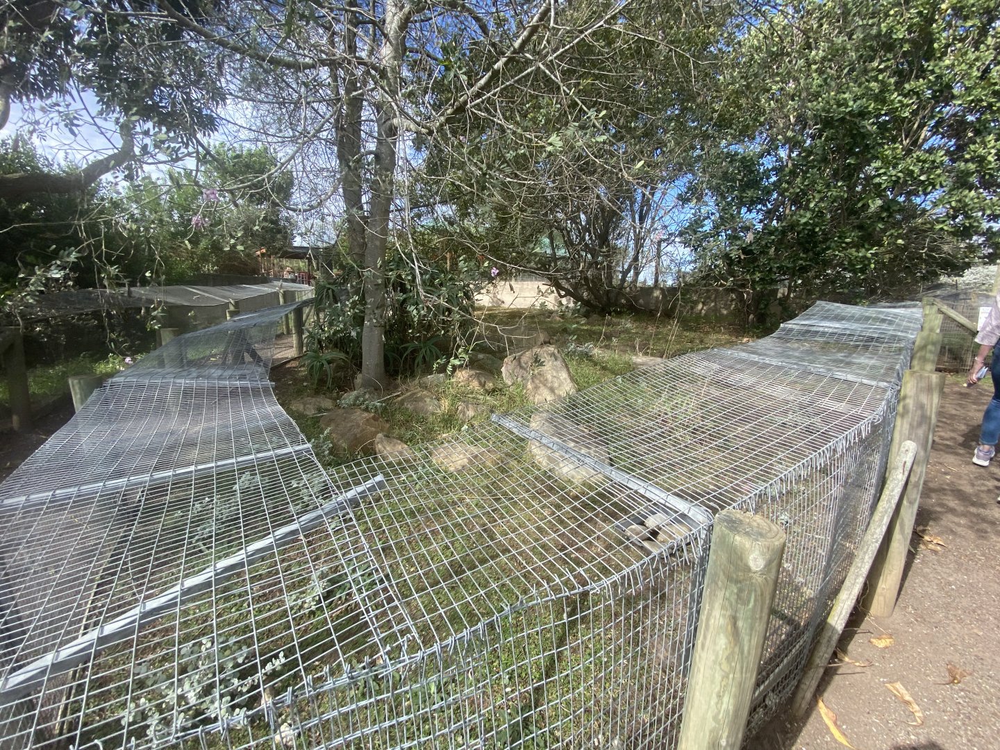 Tortoise enclosure