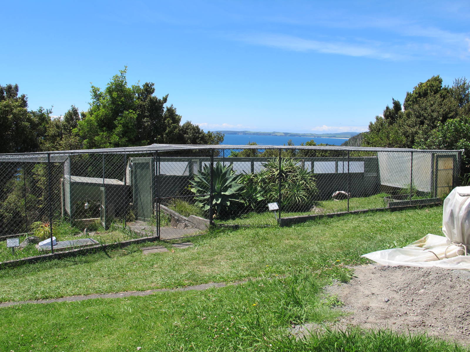 Tortoise Enclosures - Ti Point Reptile Park 2012