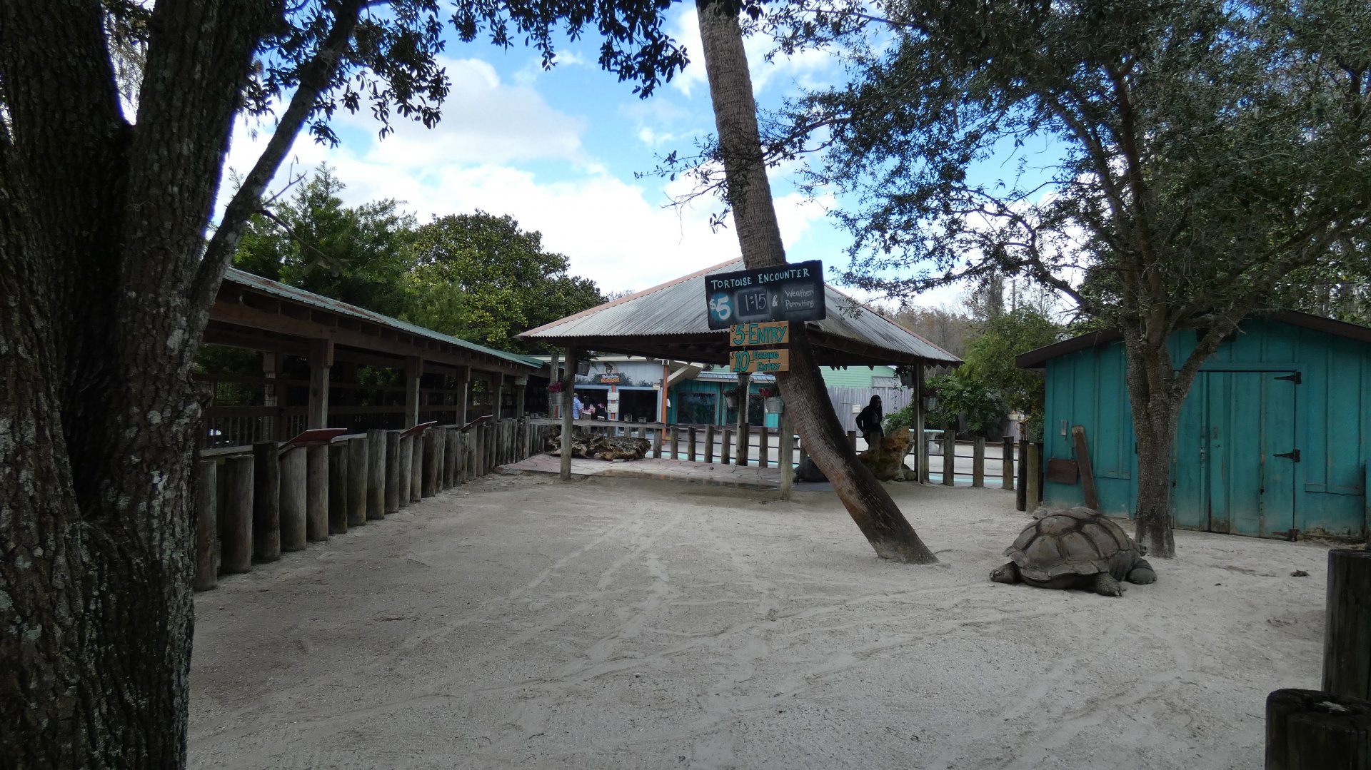 Tortoise Encounter - Jan. 2022