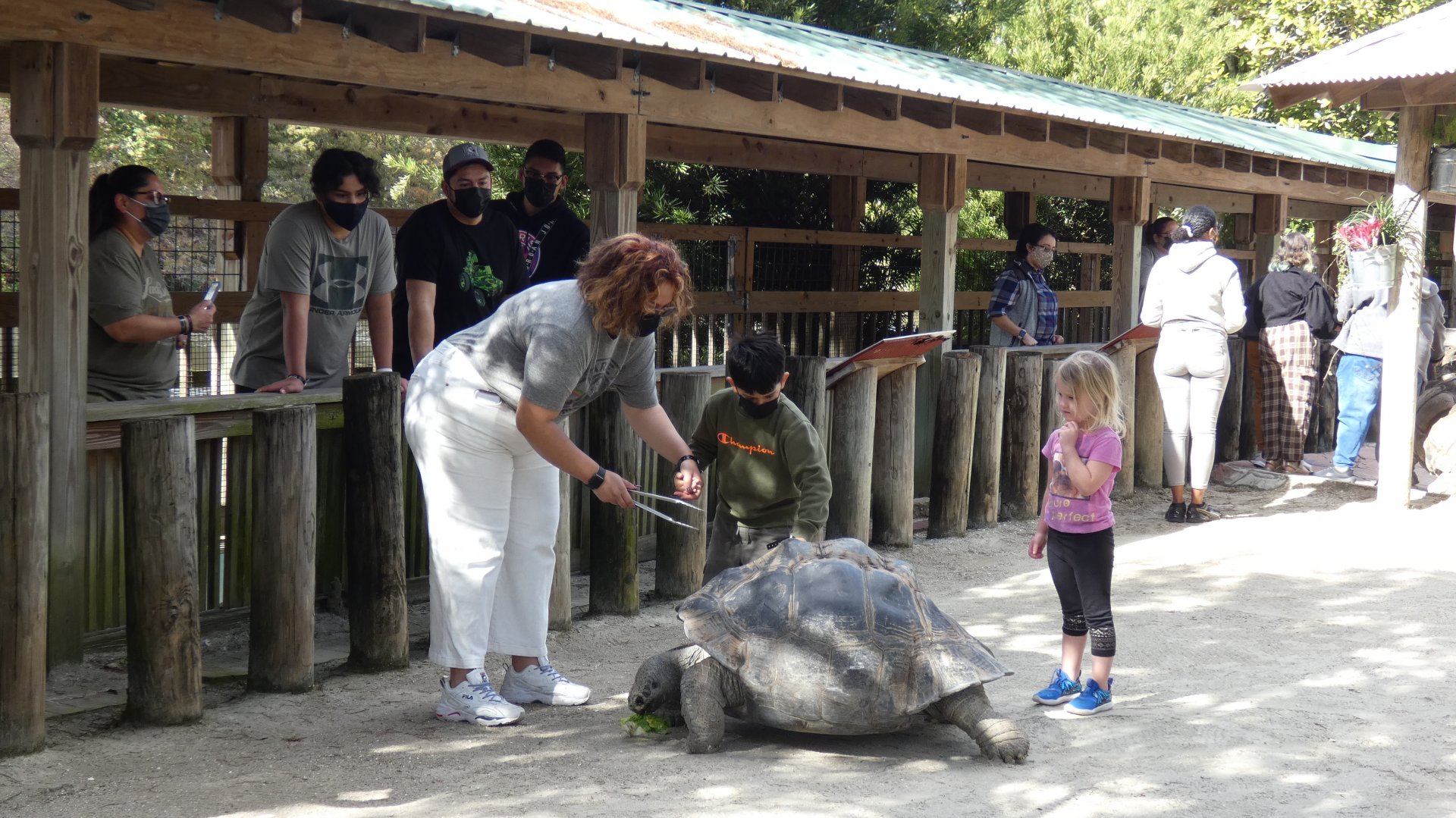 Tortoise Encounter - Jan. 2022