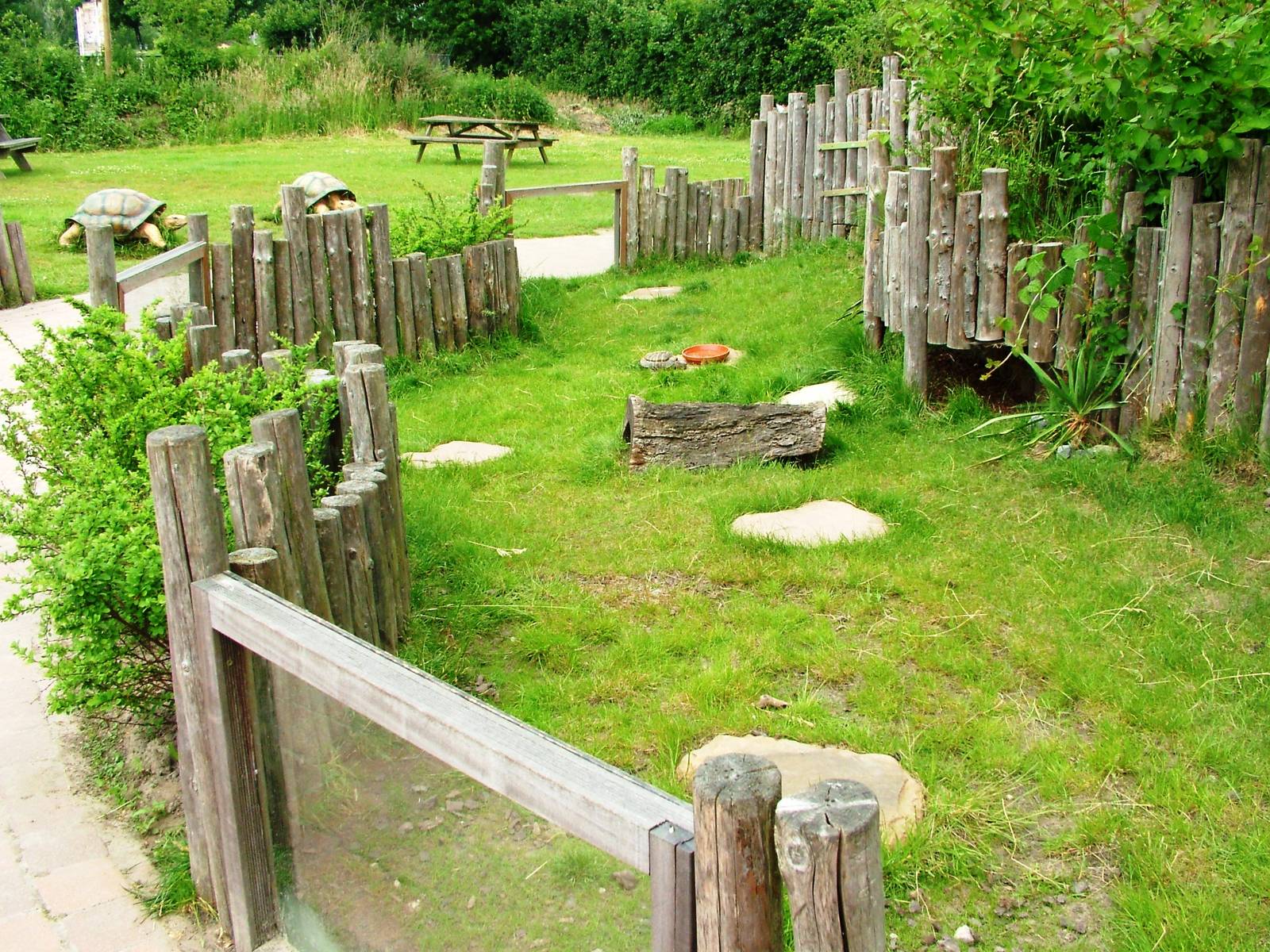 Tortoise Exhibit at Dierenrijk, 31/05/12