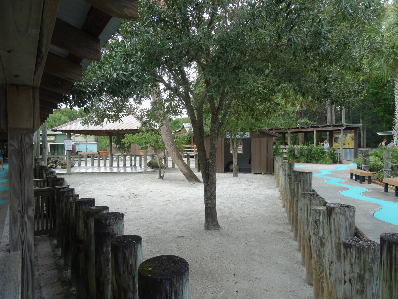 Tortoise Exhibit at Gatorland