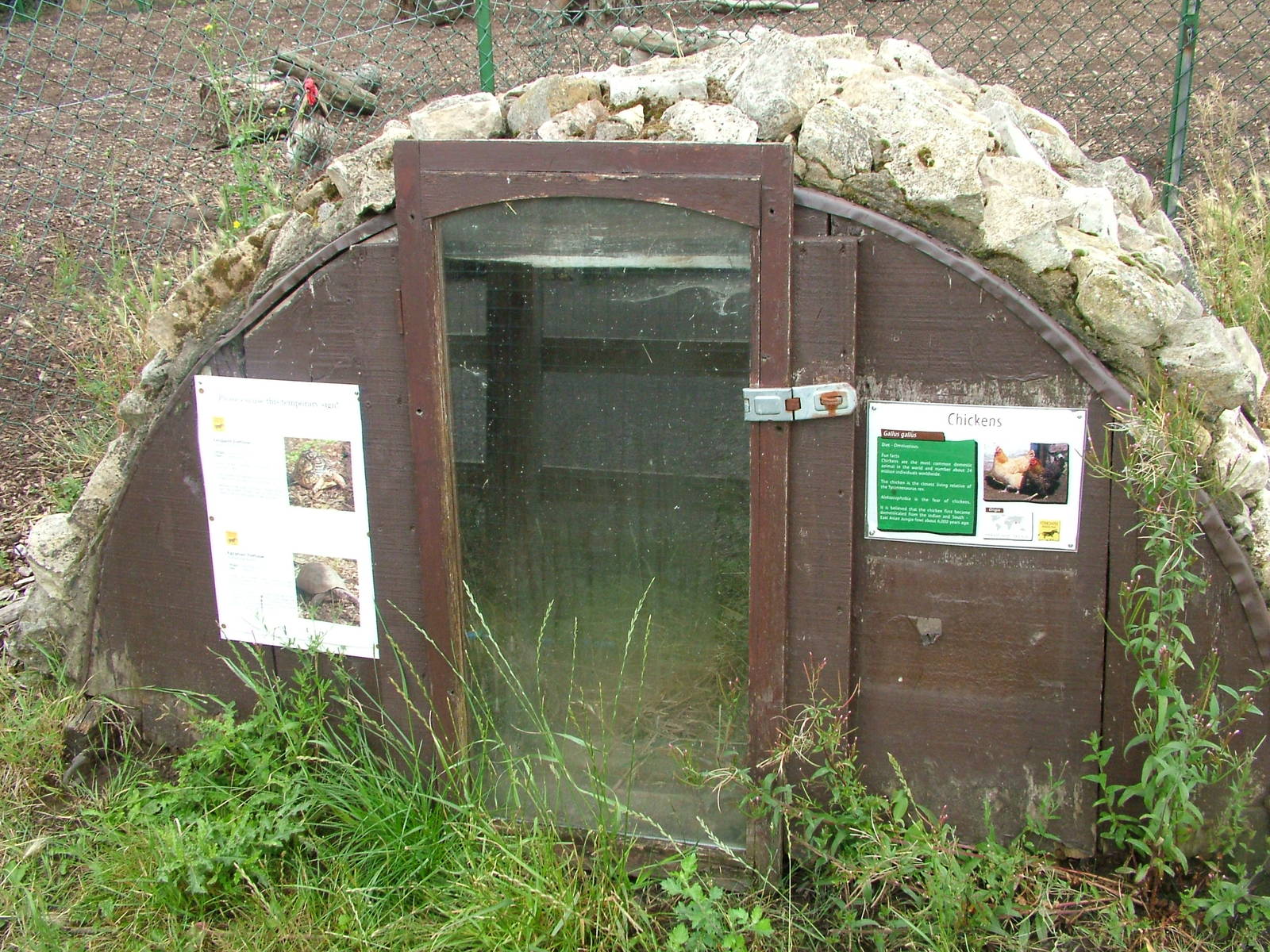 Tortoise exhibit at Yorkshire WP, 18/07/10
