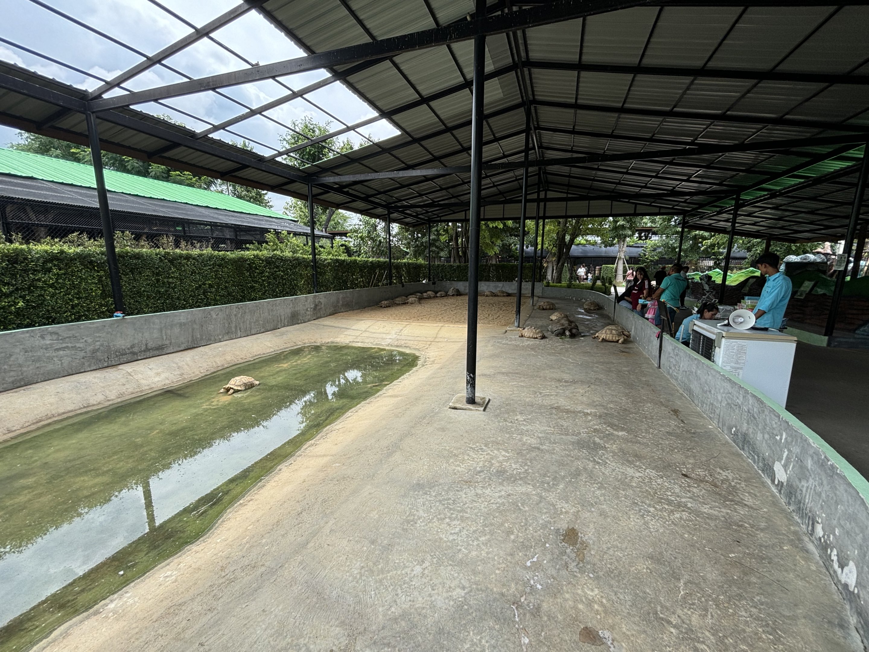 Tortoise Exhibit - Lion Park
