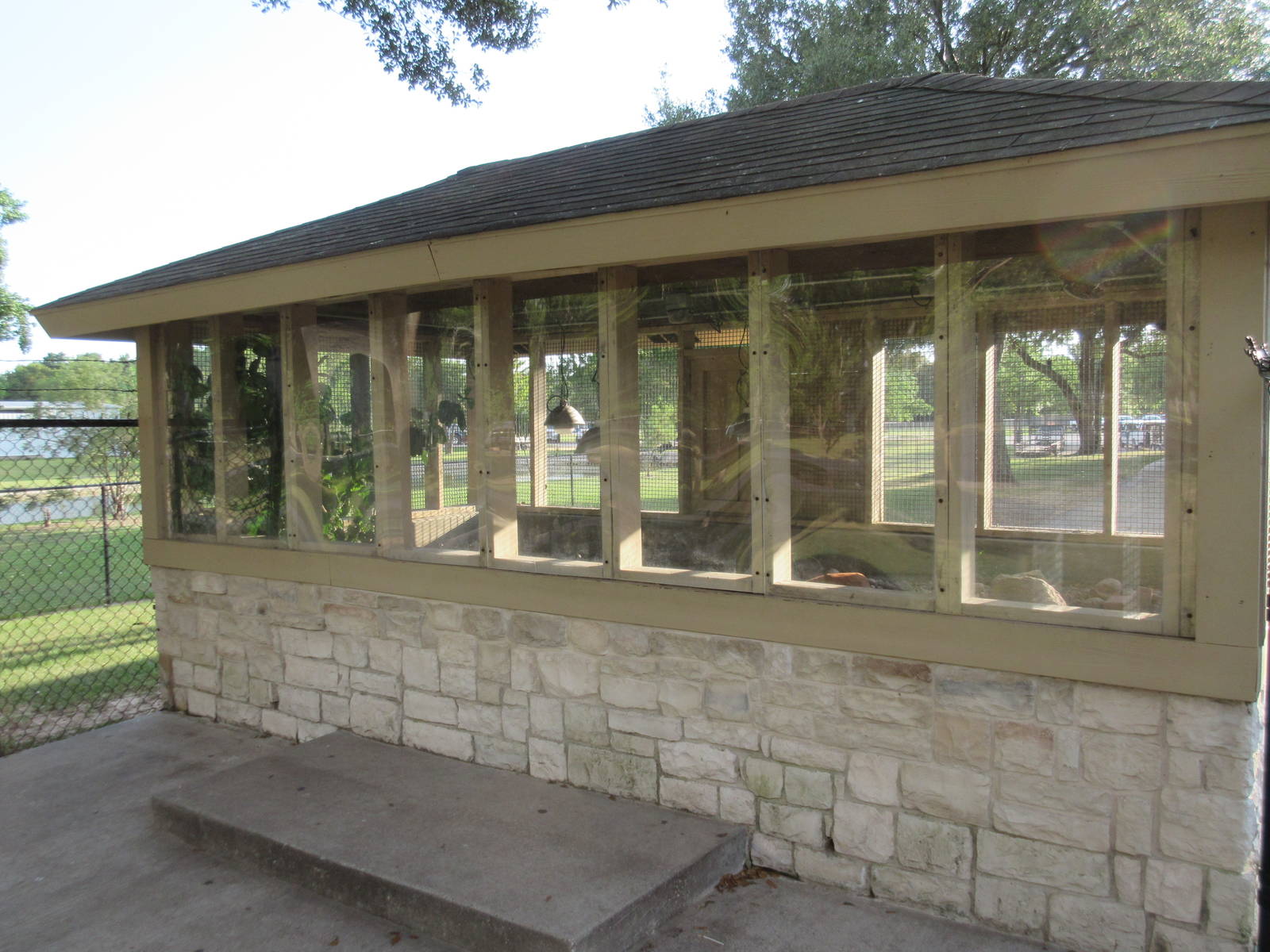 Tortoise Exhibit (unidentified species)