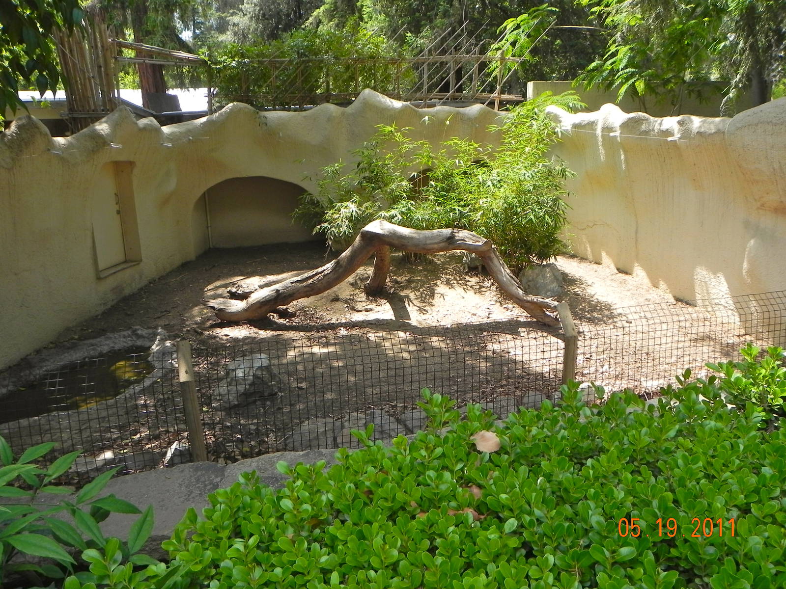 Tortoise exhibit