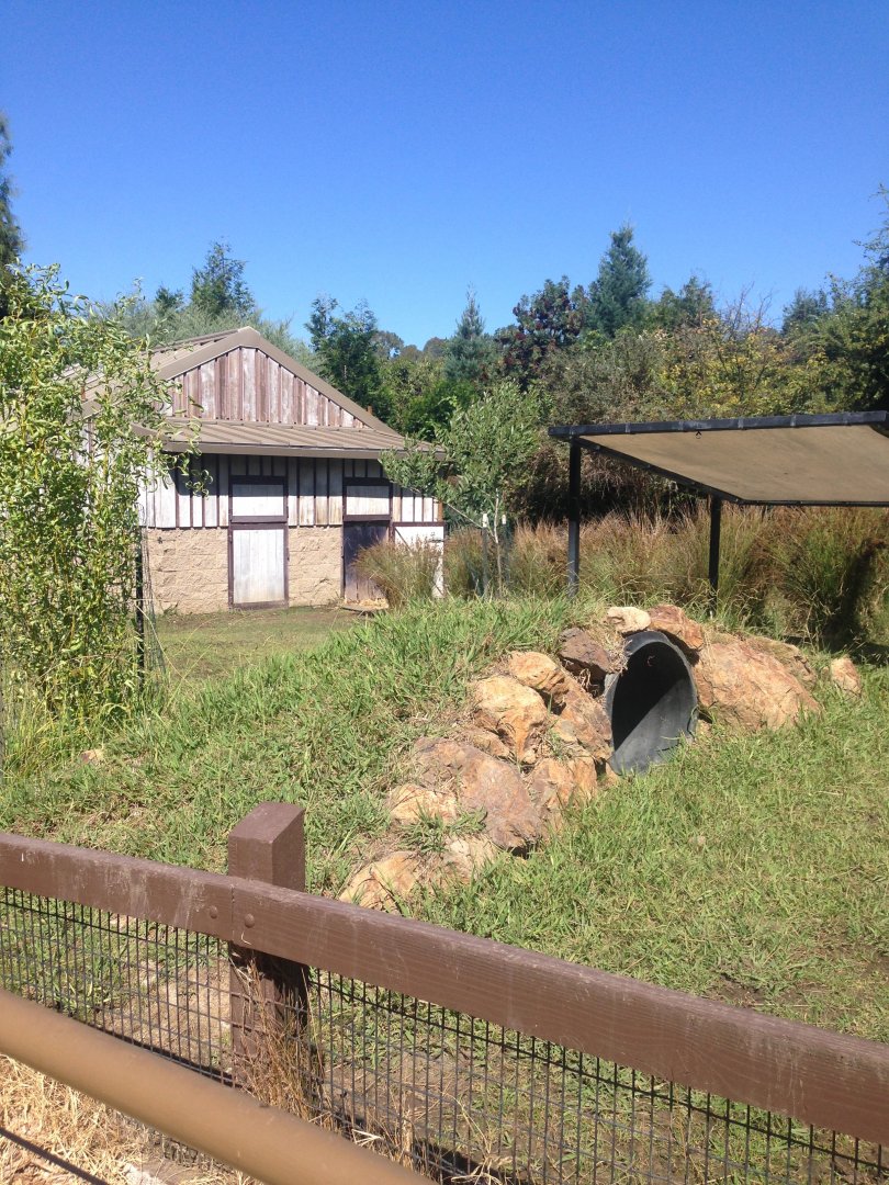 Tortoise Exhibit