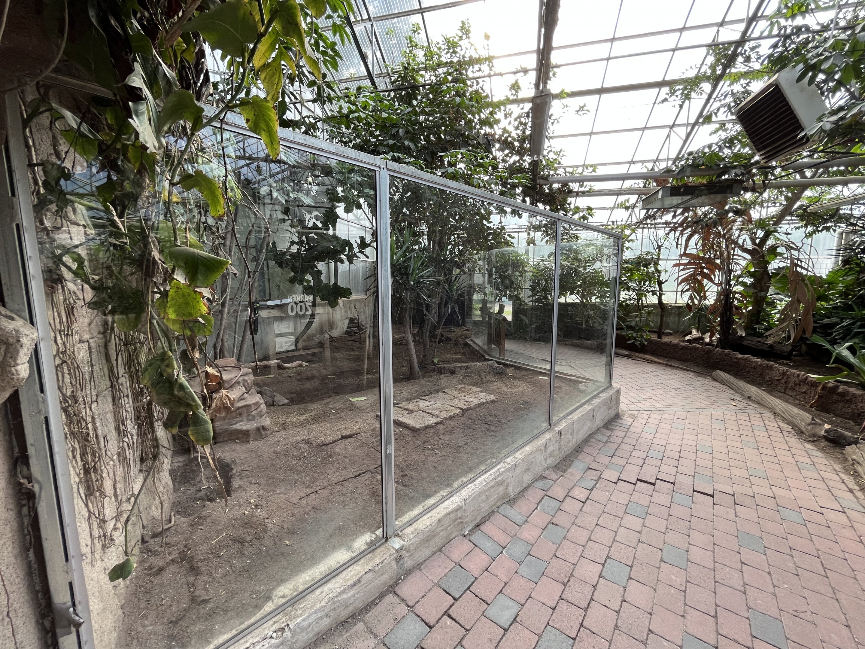 Tortoise Exhibit