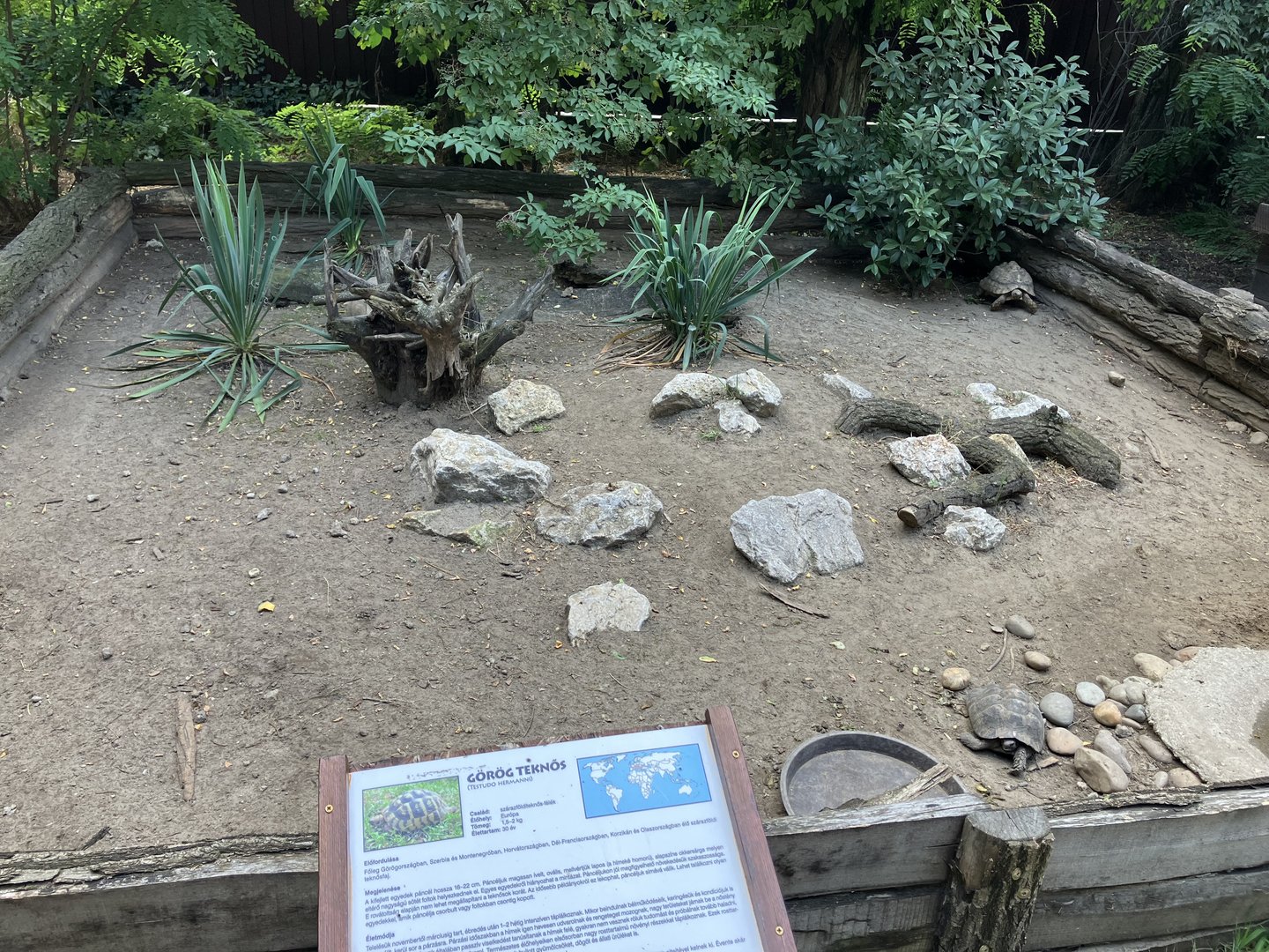 Tortoise exhibit.
