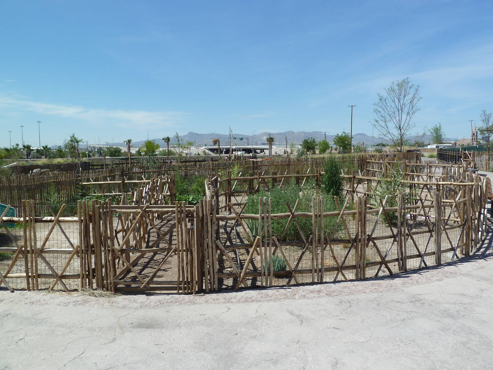 Tortoise Exhibits - New Exhibits In 2010
