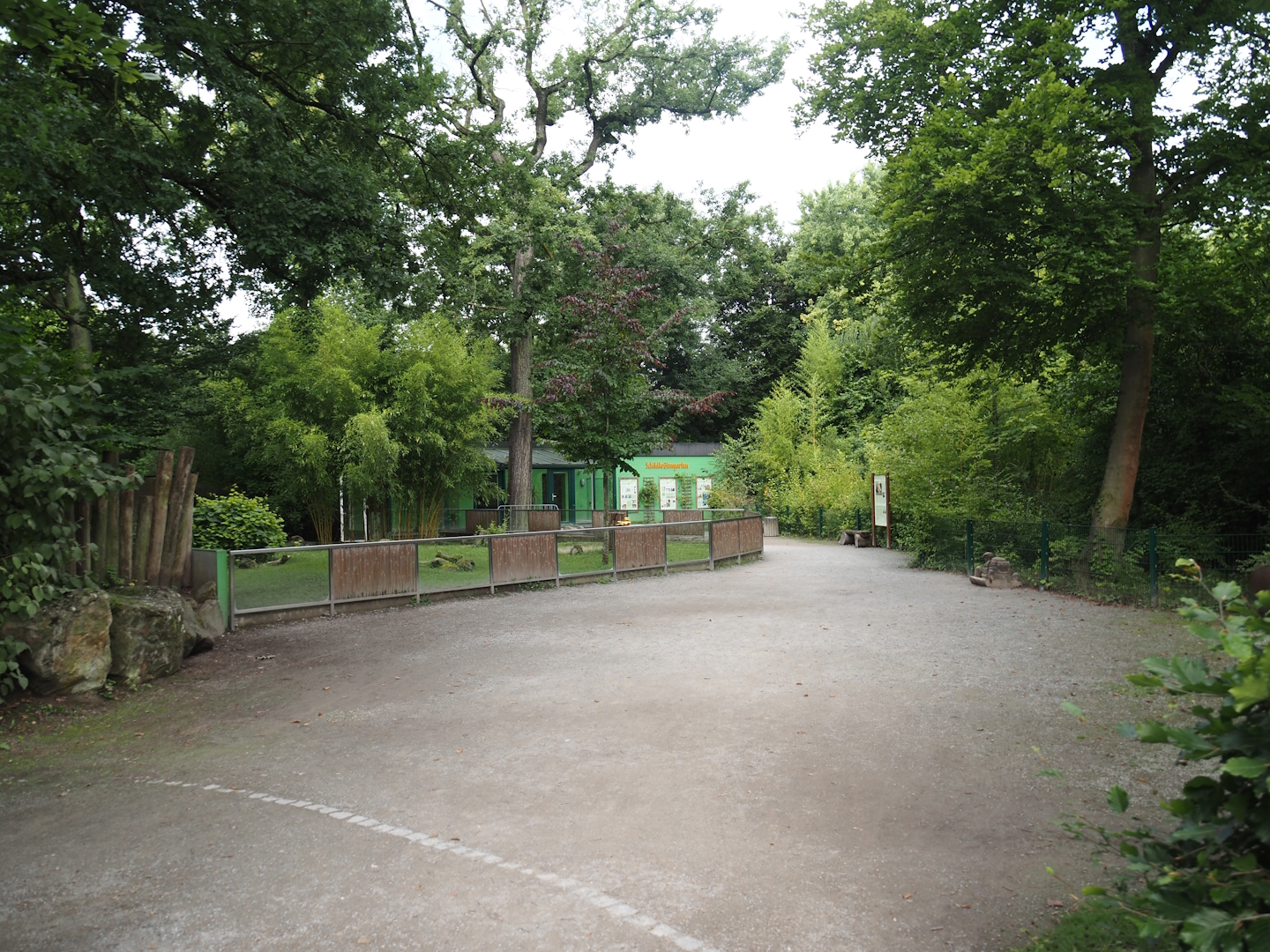 Tortoise garden area with African spurred tortoises, 2024-08-05