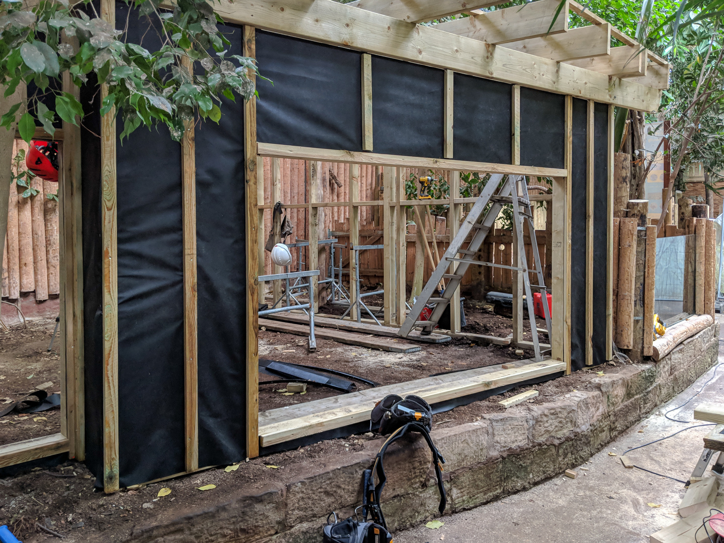 Tortoise House - 14/09/2018