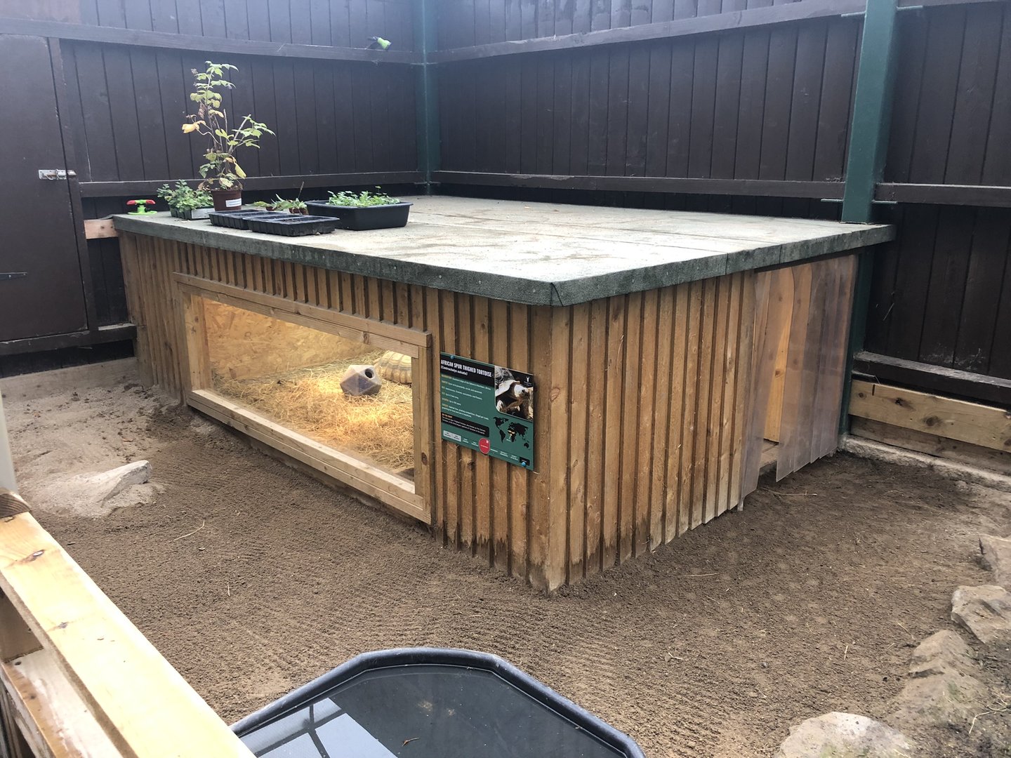 Tortoise House at Ponderosa Zoo (October 2022)