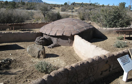 Tortoise house