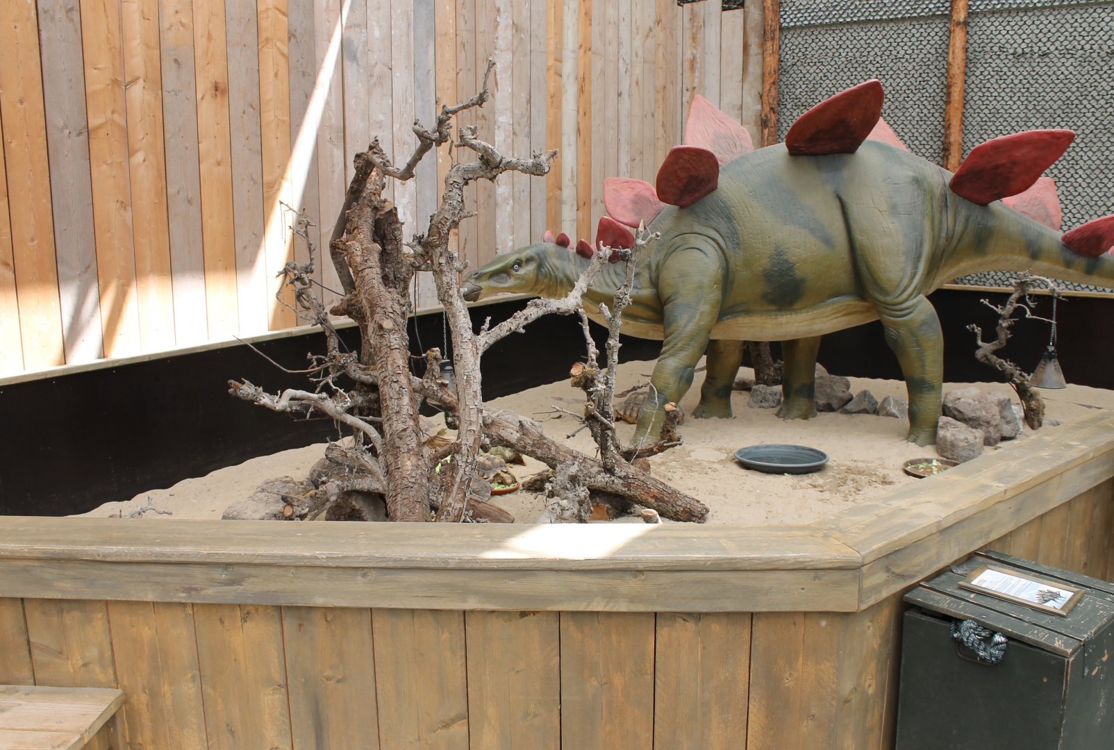 Tortoise - Iguana enclosure