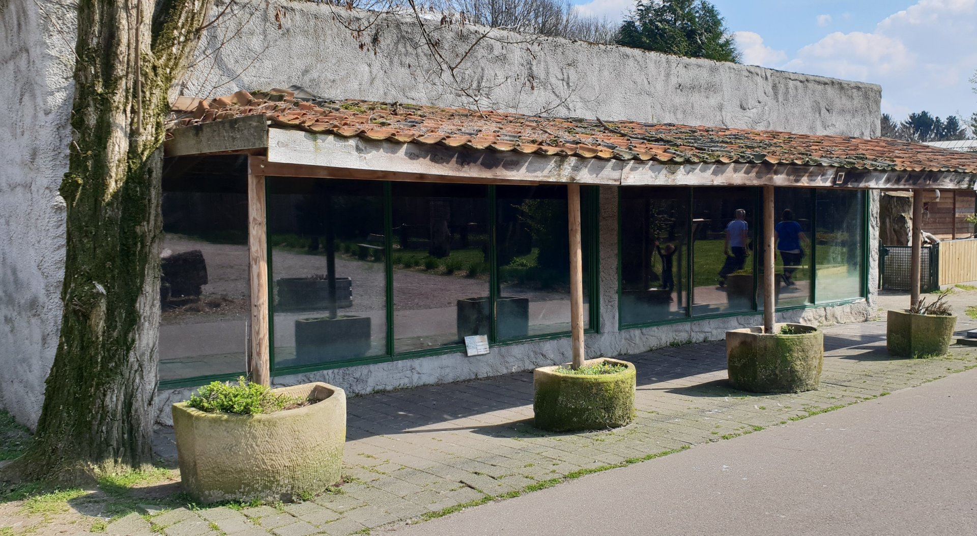 Tortoise - iguana enclosure
