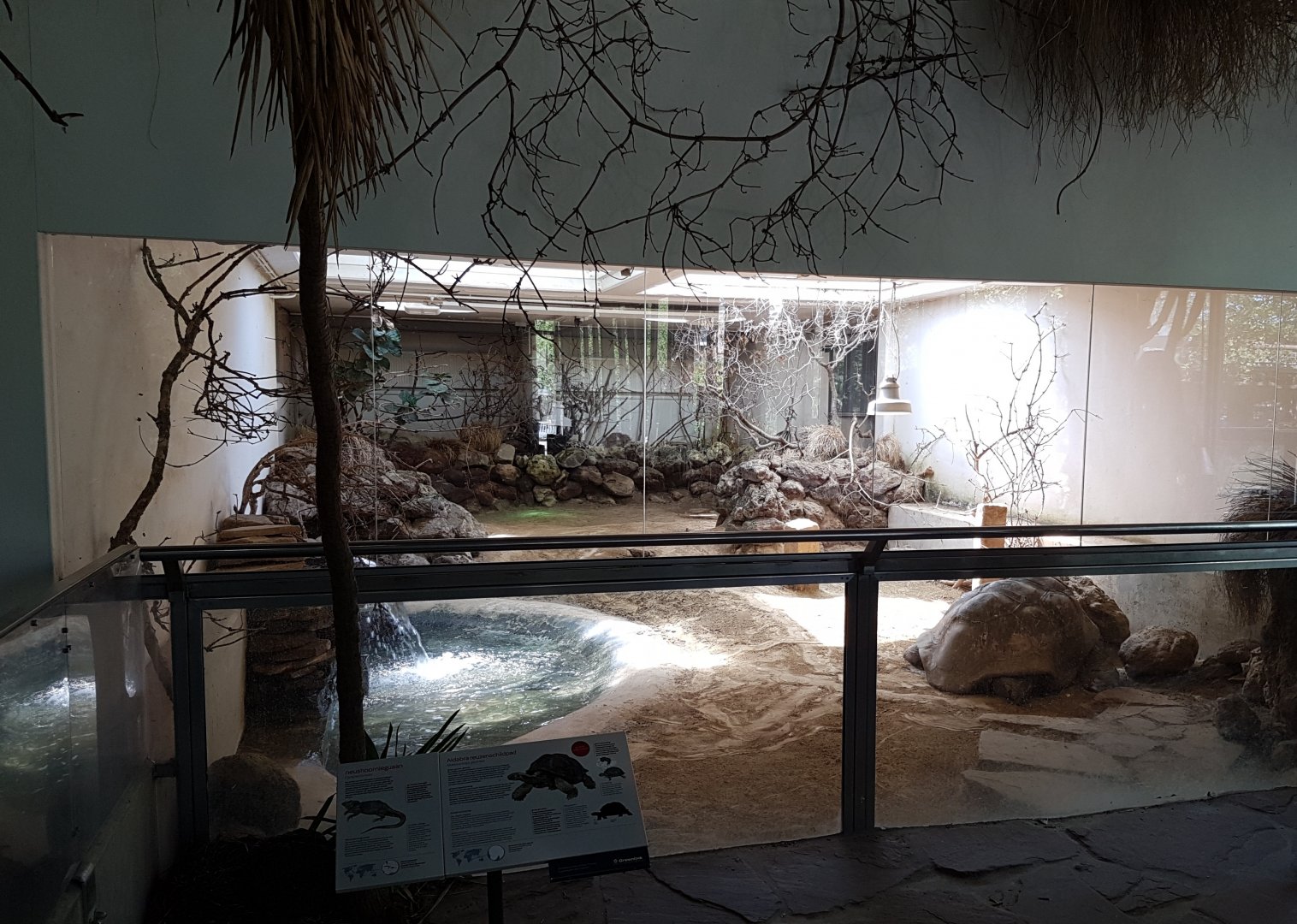 Tortoise - Iguana indoor-enclosure